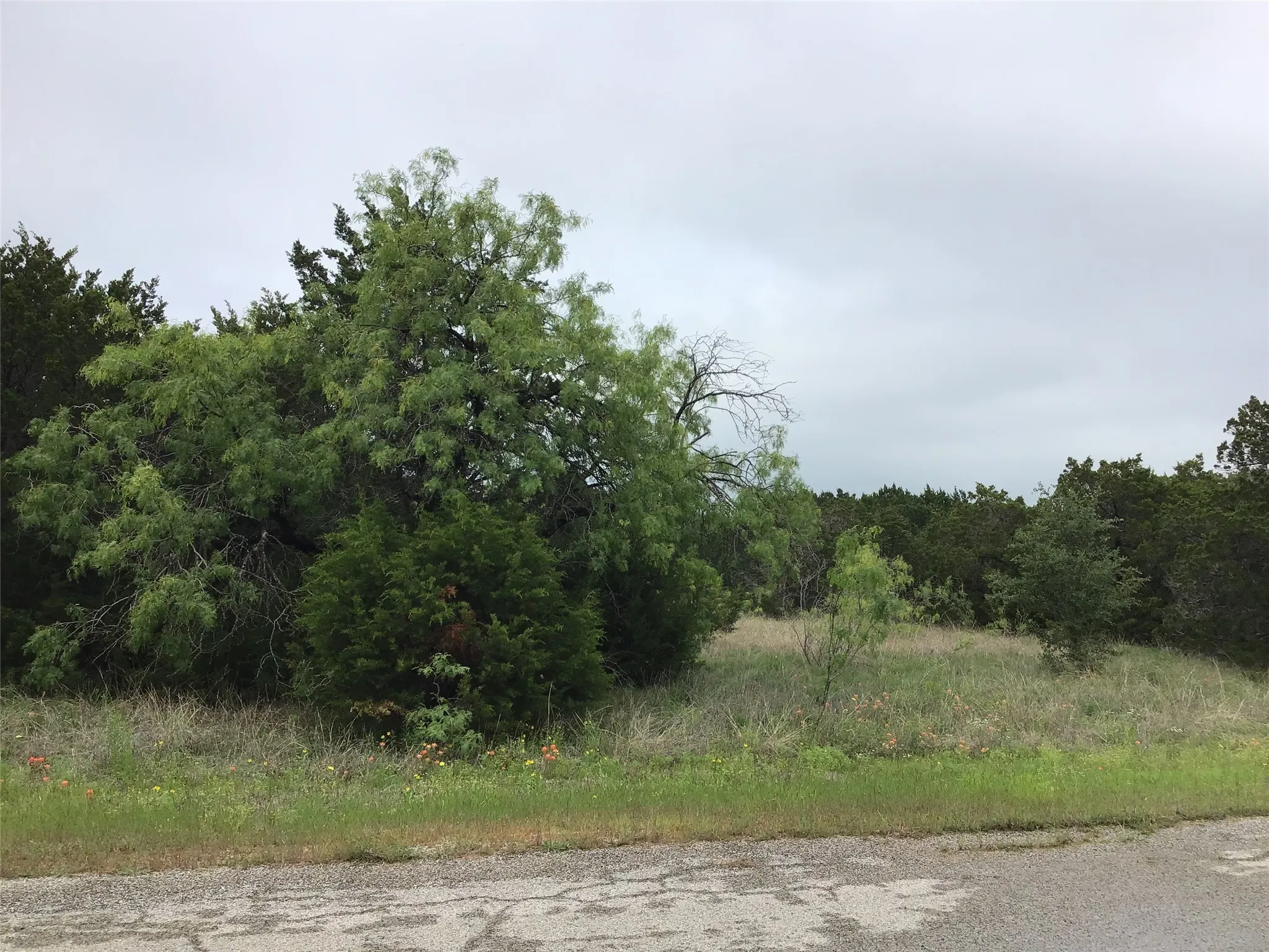 Unimproved Land For Sale in Hill County , 44163 High Crest Drive, Whitney, Texas 76692, 0, 0, Garage spaces, 0 Sqft, built in 0, Price $10,000, mls#21334461, Real Estate Agent in Whitney, Homes For Sale in Hill county, Homes For Sale in Whitney, Realtor in Whitney Texas, Real Estate Brokerage Independent Realty Texas, Luminita Cordes Realtor