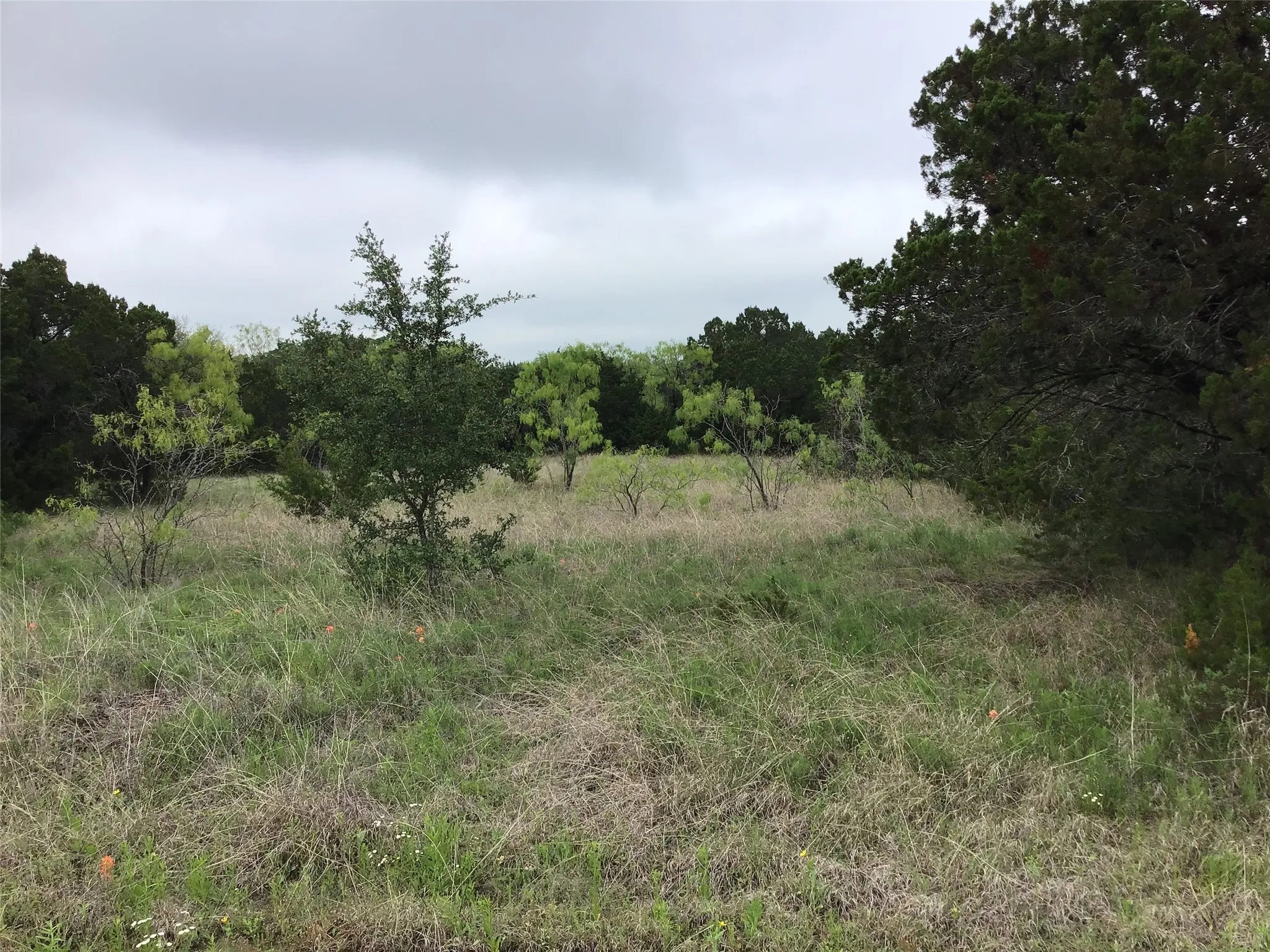 Unimproved Land For Sale in Hill County , 44163 High Crest Drive, Whitney, Texas 76692, 0, 0, Garage spaces, 0 Sqft, built in 0, Price $10,000, mls#21334461, Real Estate Agent in Whitney, Homes For Sale in Hill county, Homes For Sale in Whitney, Realtor in Whitney Texas, Real Estate Brokerage Independent Realty Texas, Luminita Cordes Realtor