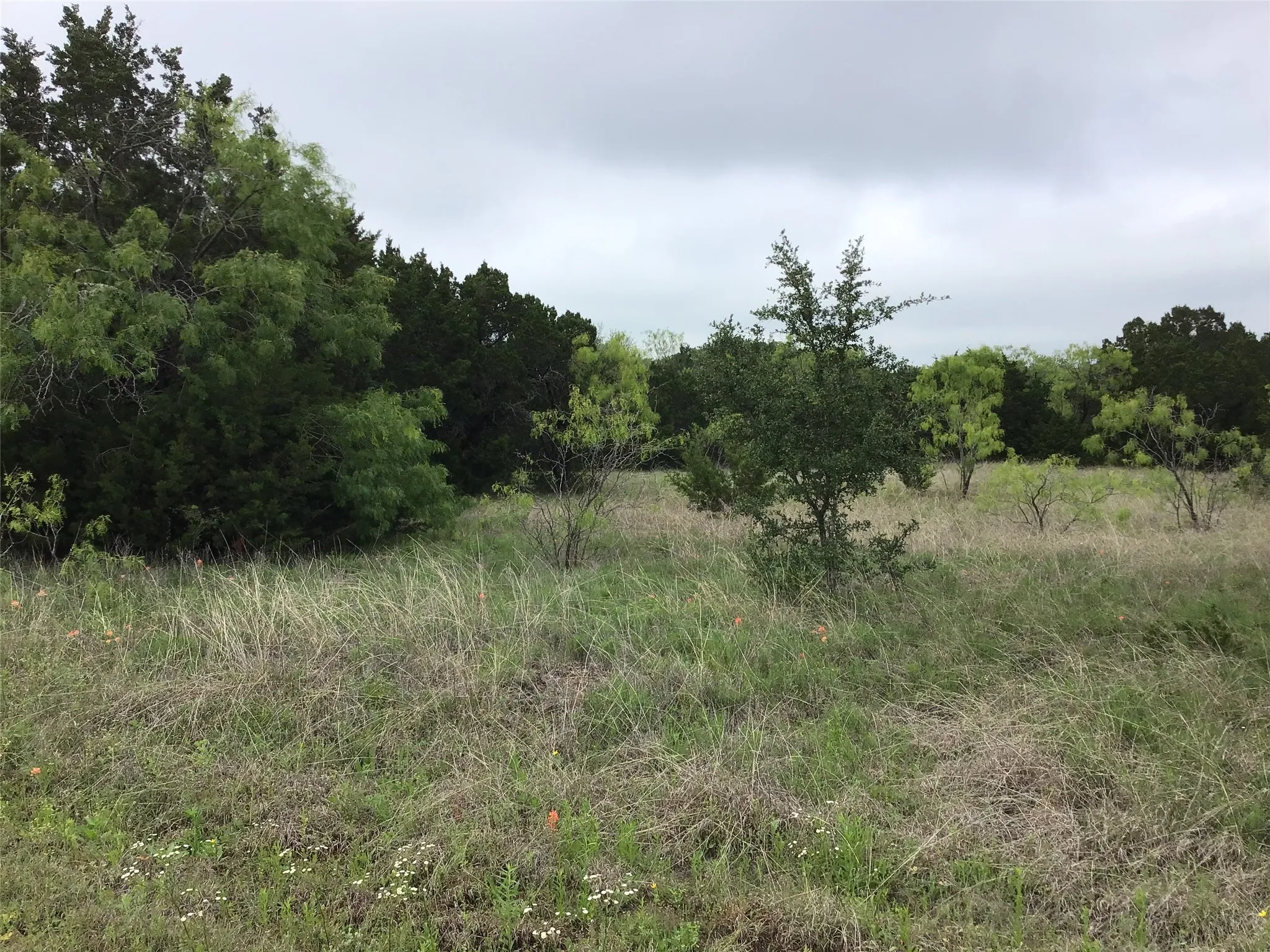 Unimproved Land For Sale in Hill County , 44163 High Crest Drive, Whitney, Texas 76692, 0, 0, Garage spaces, 0 Sqft, built in 0, Price $10,000, mls#21334461, Real Estate Agent in Whitney, Homes For Sale in Hill county, Homes For Sale in Whitney, Realtor in Whitney Texas, Real Estate Brokerage Independent Realty Texas, Luminita Cordes Realtor