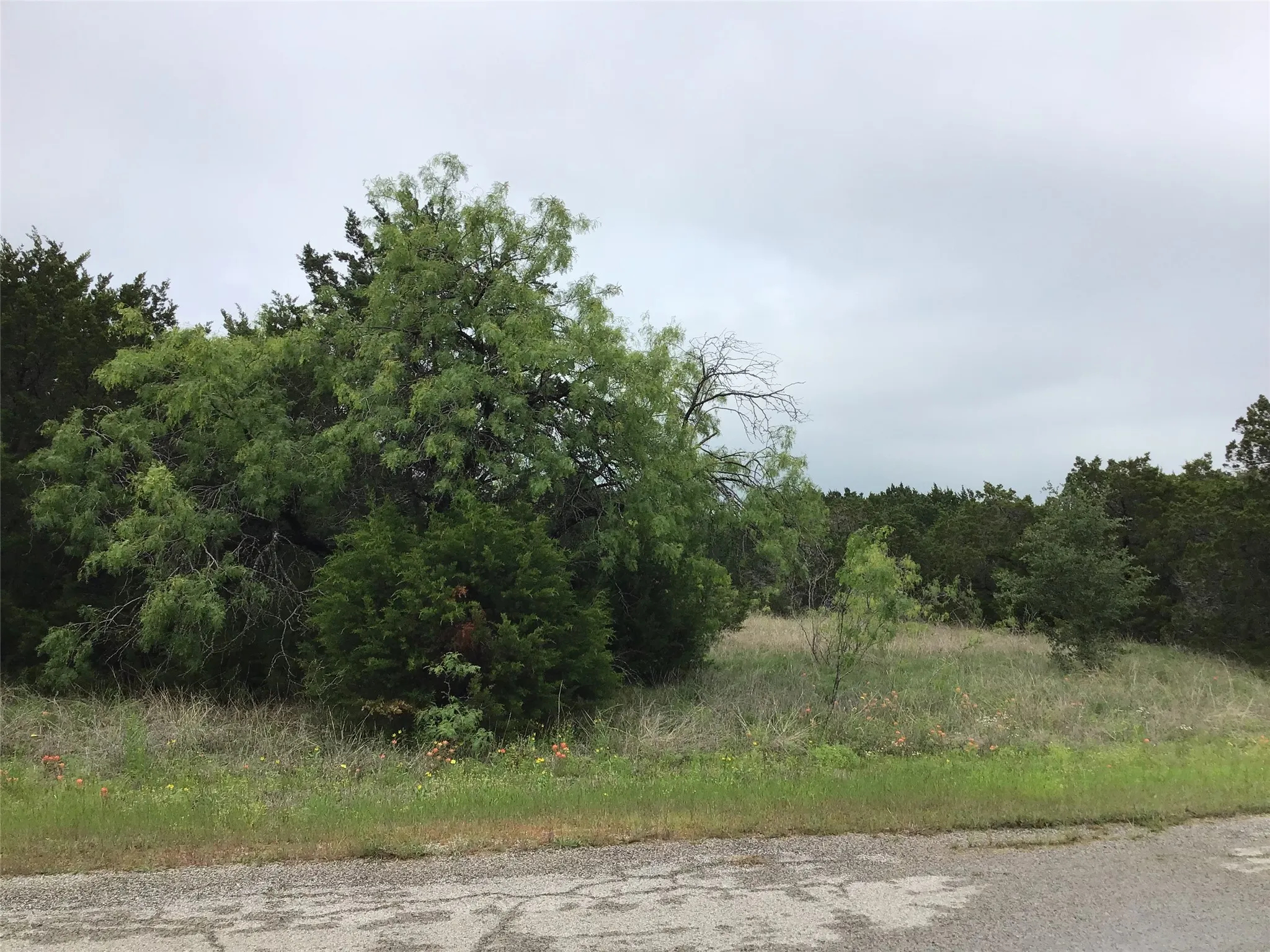 Unimproved Land For Sale in Hill County , 44163 High Crest Drive, Whitney, Texas 76692, 0, 0, Garage spaces, 0 Sqft, built in 0, Price $10,000, mls#21334461, Real Estate Agent in Whitney, Homes For Sale in Hill county, Homes For Sale in Whitney, Realtor in Whitney Texas, Real Estate Brokerage Independent Realty Texas, Luminita Cordes Realtor