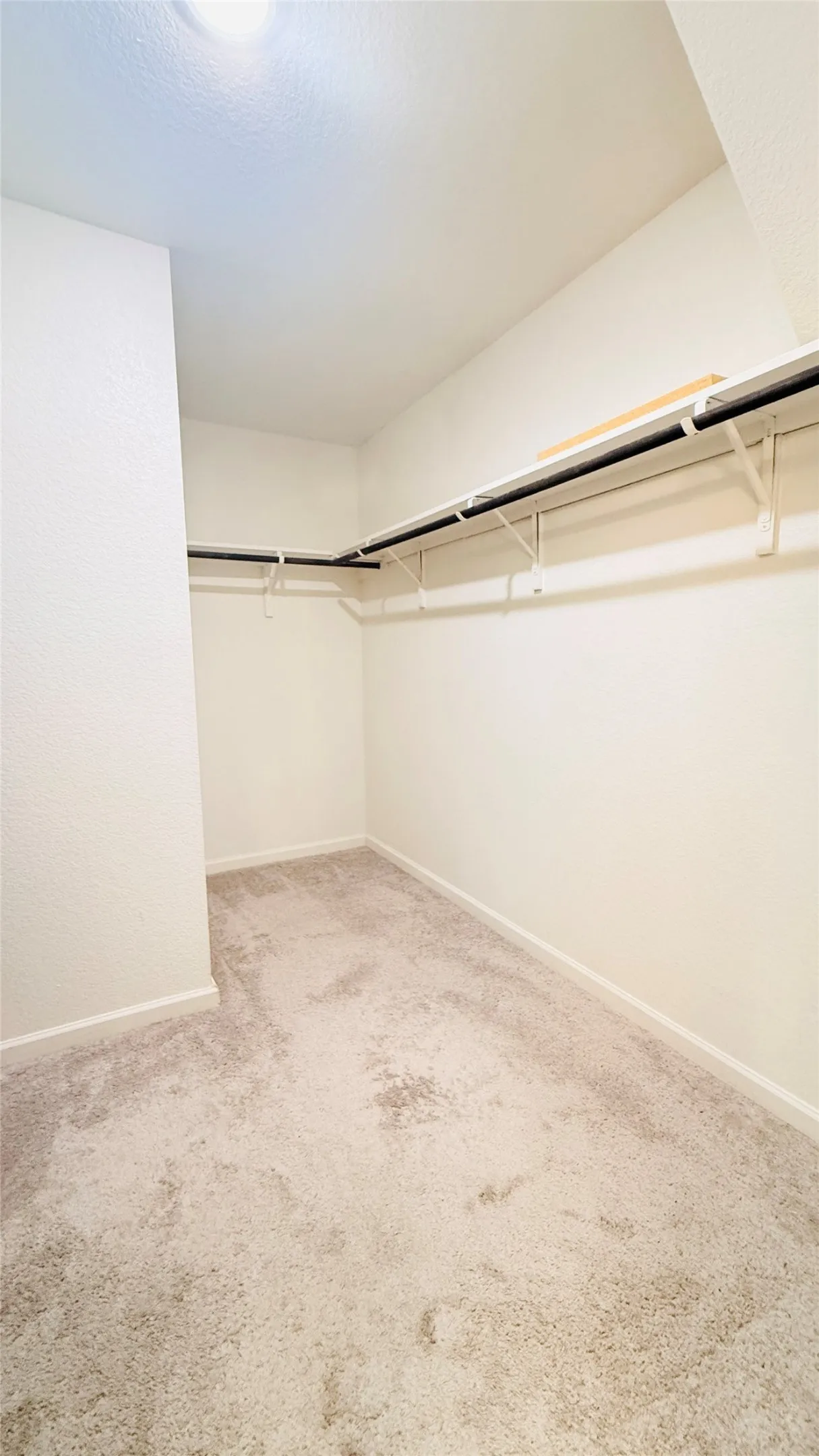Walk-in closet featuring light beige carpet, white walls, built-in shelving, and closet rods