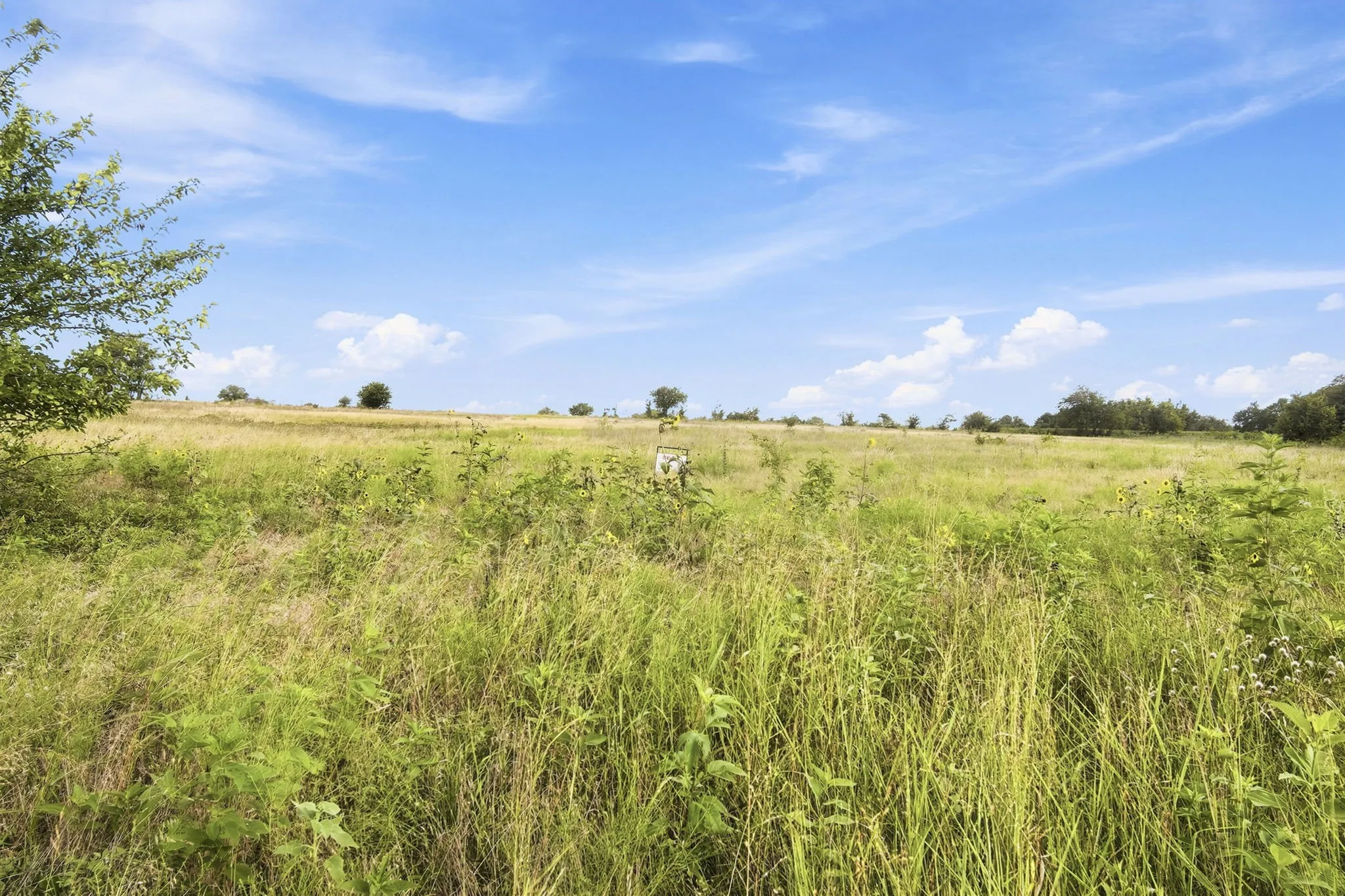 Unimproved Land For Sale in Hill County , TBD Longview Creek Trail, Itasca, Texas 76055, 0, 0, Garage spaces, 0 Sqft, built in 0, mls#21337105, Real Estate Agent in Itasca, Homes For Sale in Hill county, Homes For Sale in Itasca, Realtor in Itasca Texas, Real Estate Brokerage Independent Realty Texas, Luminita Cordes Realtor