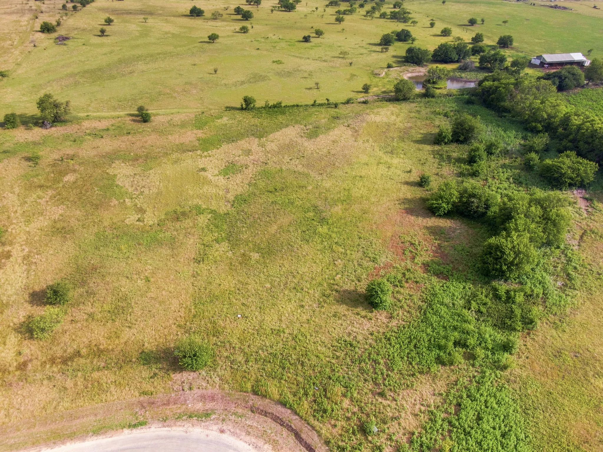 Unimproved Land For Sale in Hill County , TBD Longview Creek Trail, Itasca, Texas 76055, 0, 0, Garage spaces, 0 Sqft, built in 0, mls#21337105, Real Estate Agent in Itasca, Homes For Sale in Hill county, Homes For Sale in Itasca, Realtor in Itasca Texas, Real Estate Brokerage Independent Realty Texas, Luminita Cordes Realtor