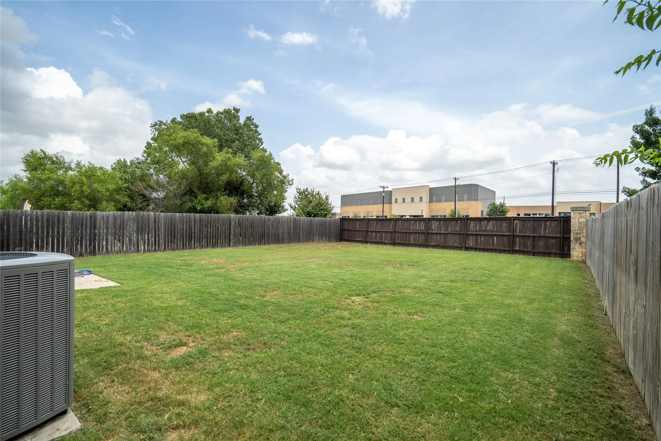 Back yard