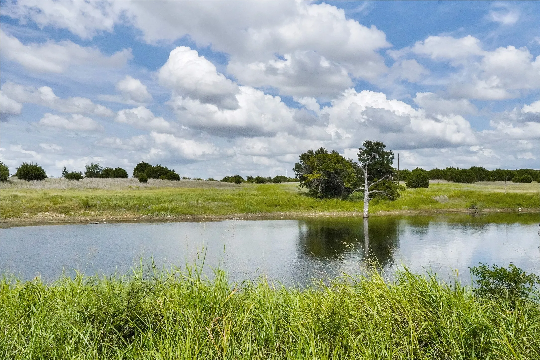 Ranch For Sale in Jack County , 157 Acres Nash Road, Jacksboro, Texas 76458, 0, 0, Garage spaces, 0 Sqft, built in 0, Price $1,091,150, mls#21337271, Real Estate Agent in Jacksboro, Homes For Sale in Jack county, Homes For Sale in Jacksboro, Realtor in Jacksboro Texas, Real Estate Brokerage Independent Realty Texas, Luminita Cordes Realtor