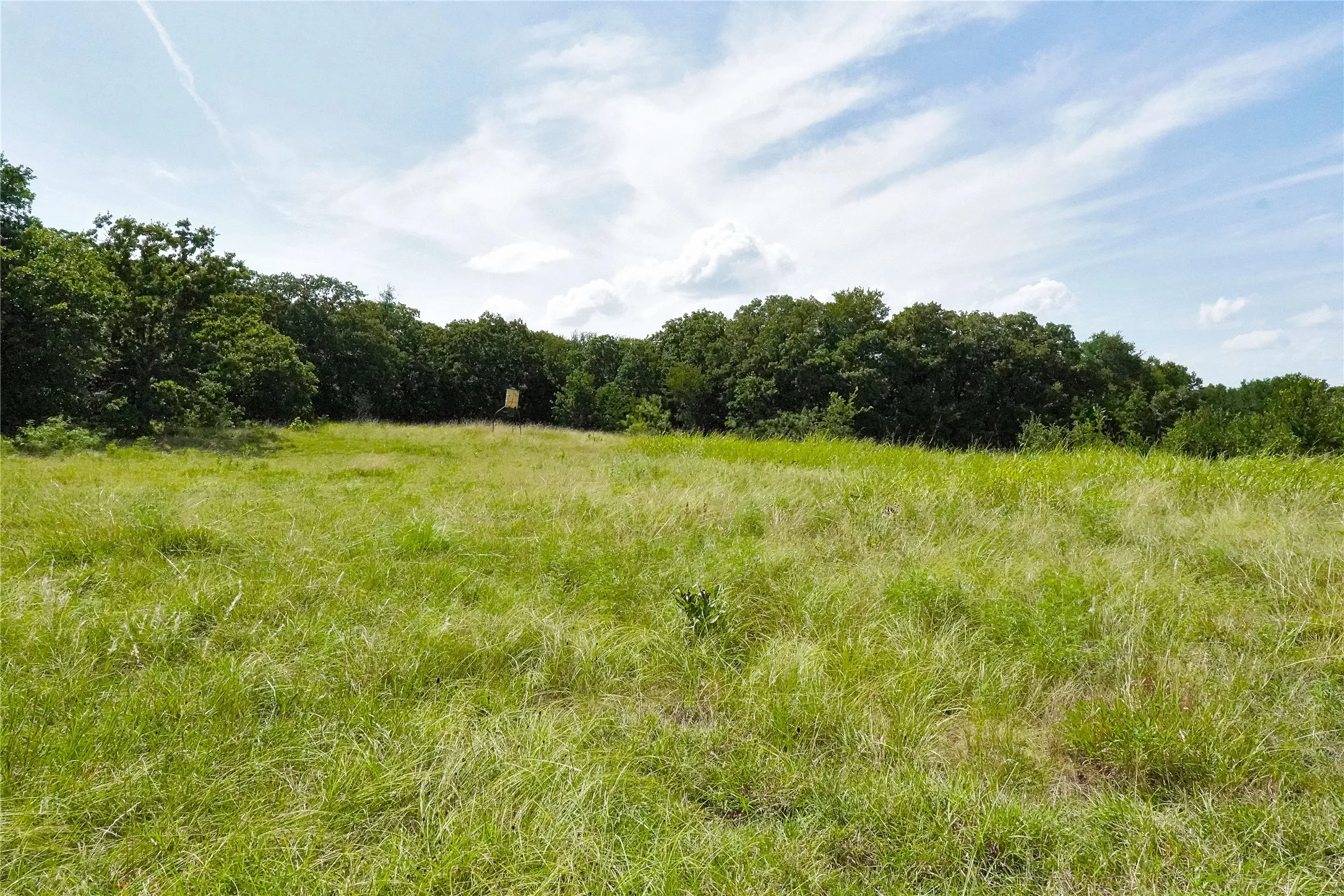 Ranch For Sale in Jack County , 157 Acres Nash Road, Jacksboro, Texas 76458, 0, 0, Garage spaces, 0 Sqft, built in 0, Price $1,091,150, mls#21337271, Real Estate Agent in Jacksboro, Homes For Sale in Jack county, Homes For Sale in Jacksboro, Realtor in Jacksboro Texas, Real Estate Brokerage Independent Realty Texas, Luminita Cordes Realtor