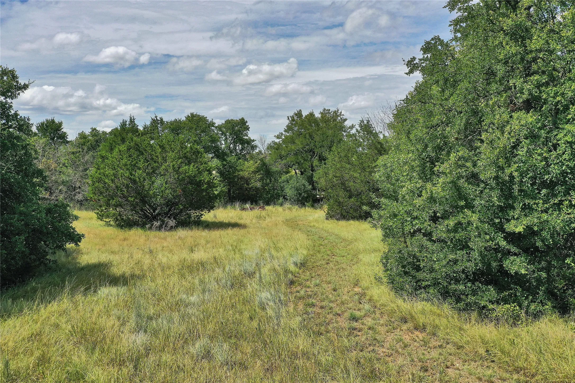 Ranch For Sale in Jack County , 157 Acres Nash Road, Jacksboro, Texas 76458, 0, 0, Garage spaces, 0 Sqft, built in 0, Price $1,091,150, mls#21337271, Real Estate Agent in Jacksboro, Homes For Sale in Jack county, Homes For Sale in Jacksboro, Realtor in Jacksboro Texas, Real Estate Brokerage Independent Realty Texas, Luminita Cordes Realtor