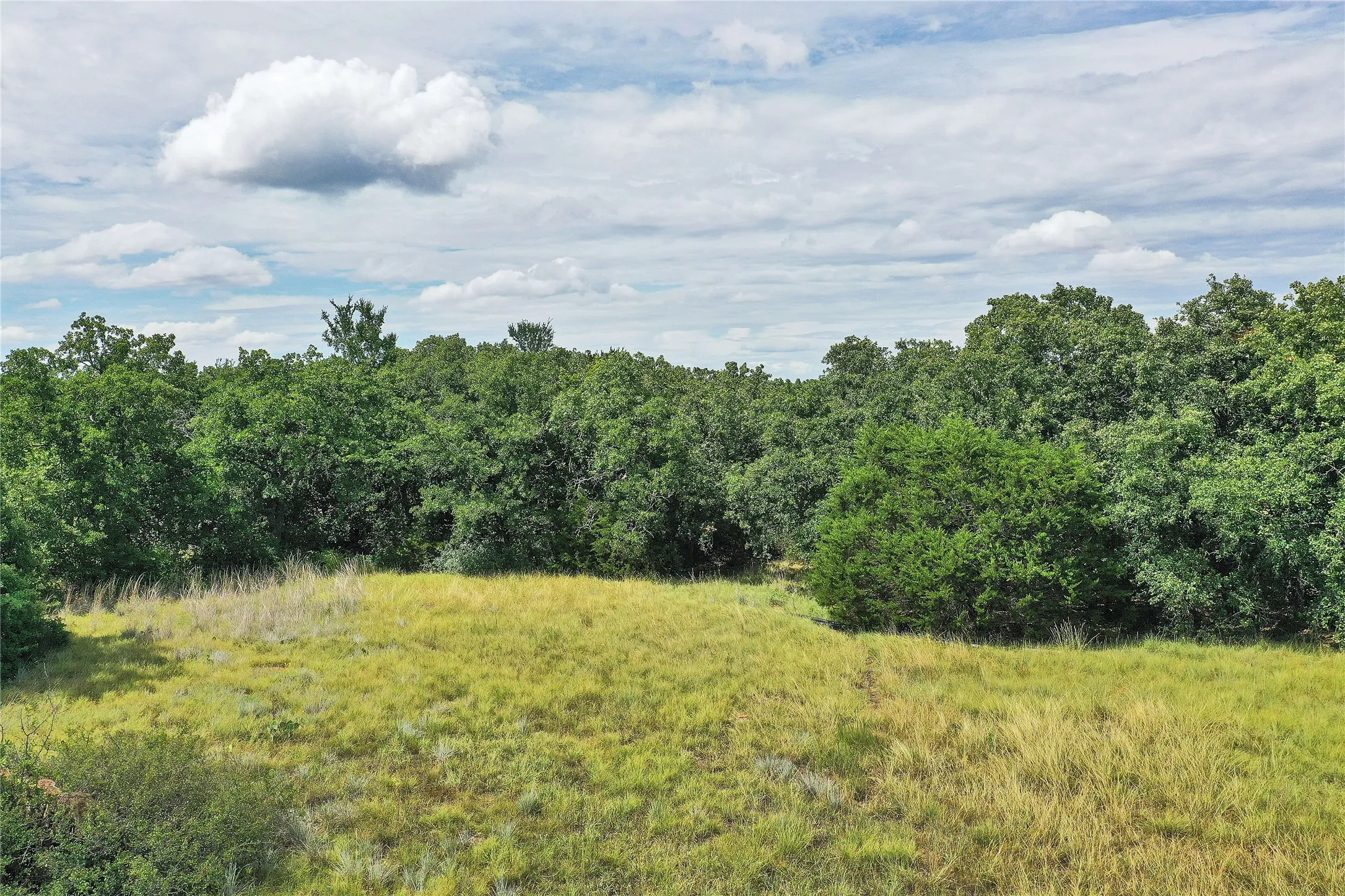 Ranch For Sale in Jack County , 157 Acres Nash Road, Jacksboro, Texas 76458, 0, 0, Garage spaces, 0 Sqft, built in 0, Price $1,091,150, mls#21337271, Real Estate Agent in Jacksboro, Homes For Sale in Jack county, Homes For Sale in Jacksboro, Realtor in Jacksboro Texas, Real Estate Brokerage Independent Realty Texas, Luminita Cordes Realtor