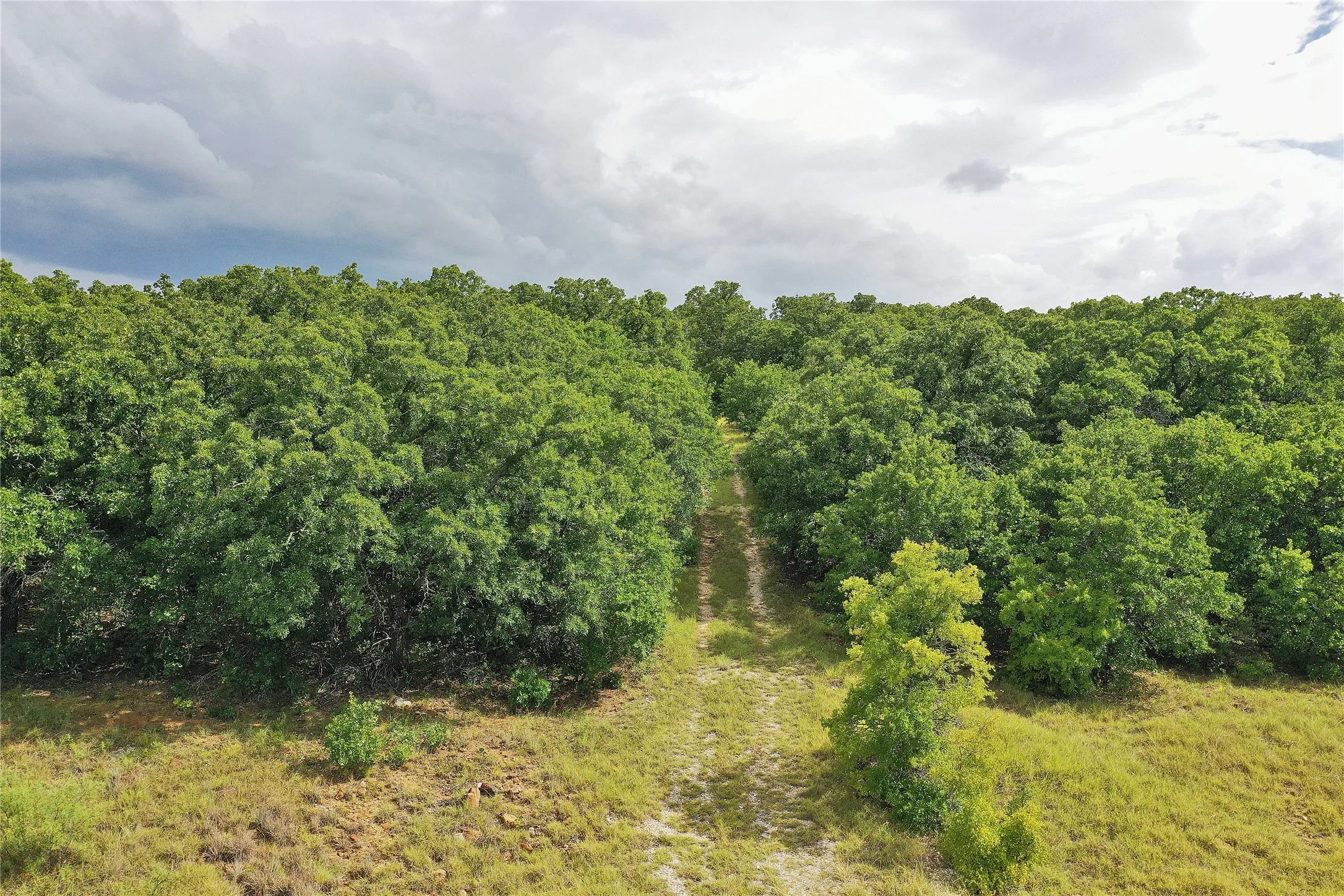 Ranch For Sale in Jack County , 157 Acres Nash Road, Jacksboro, Texas 76458, 0, 0, Garage spaces, 0 Sqft, built in 0, Price $1,091,150, mls#21337271, Real Estate Agent in Jacksboro, Homes For Sale in Jack county, Homes For Sale in Jacksboro, Realtor in Jacksboro Texas, Real Estate Brokerage Independent Realty Texas, Luminita Cordes Realtor
