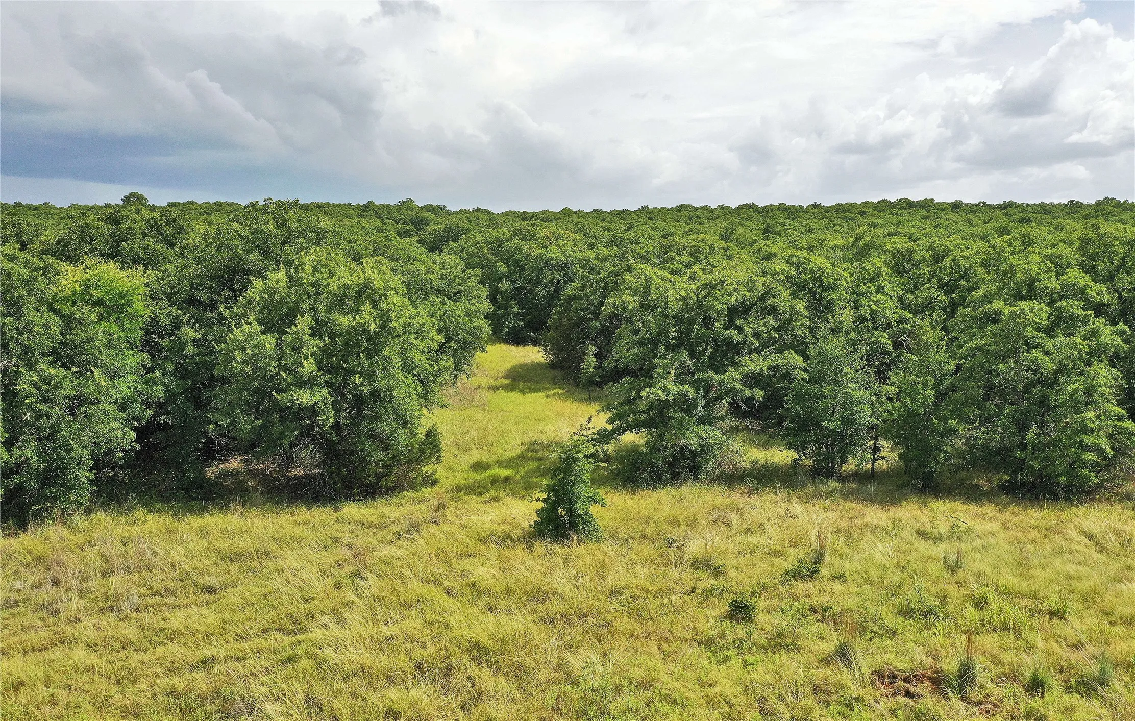 Ranch For Sale in Jack County , 157 Acres Nash Road, Jacksboro, Texas 76458, 0, 0, Garage spaces, 0 Sqft, built in 0, Price $1,091,150, mls#21337271, Real Estate Agent in Jacksboro, Homes For Sale in Jack county, Homes For Sale in Jacksboro, Realtor in Jacksboro Texas, Real Estate Brokerage Independent Realty Texas, Luminita Cordes Realtor