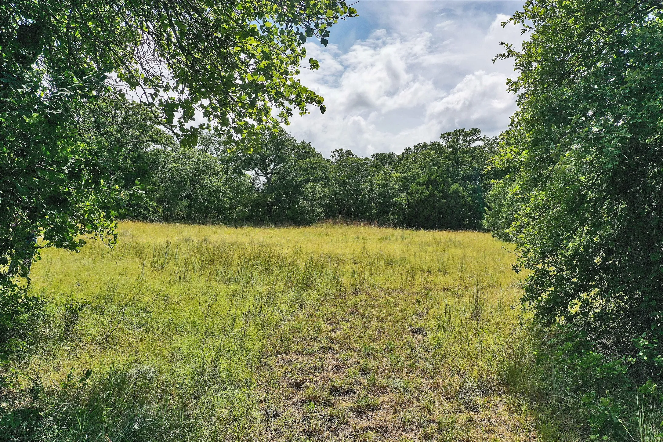 Ranch For Sale in Jack County , 157 Acres Nash Road, Jacksboro, Texas 76458, 0, 0, Garage spaces, 0 Sqft, built in 0, Price $1,091,150, mls#21337271, Real Estate Agent in Jacksboro, Homes For Sale in Jack county, Homes For Sale in Jacksboro, Realtor in Jacksboro Texas, Real Estate Brokerage Independent Realty Texas, Luminita Cordes Realtor