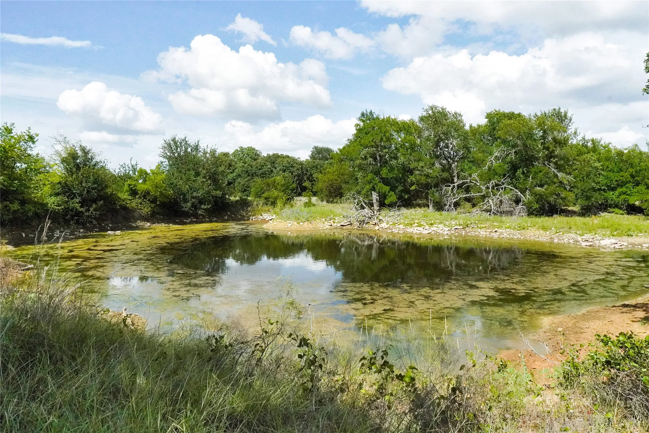 Ranch For Sale in Jack County , 157 Acres Nash Road, Jacksboro, Texas 76458, 0, 0, Garage spaces, 0 Sqft, built in 0, Price $1,091,150, mls#21337271, Real Estate Agent in Jacksboro, Homes For Sale in Jack county, Homes For Sale in Jacksboro, Realtor in Jacksboro Texas, Real Estate Brokerage Independent Realty Texas, Luminita Cordes Realtor
