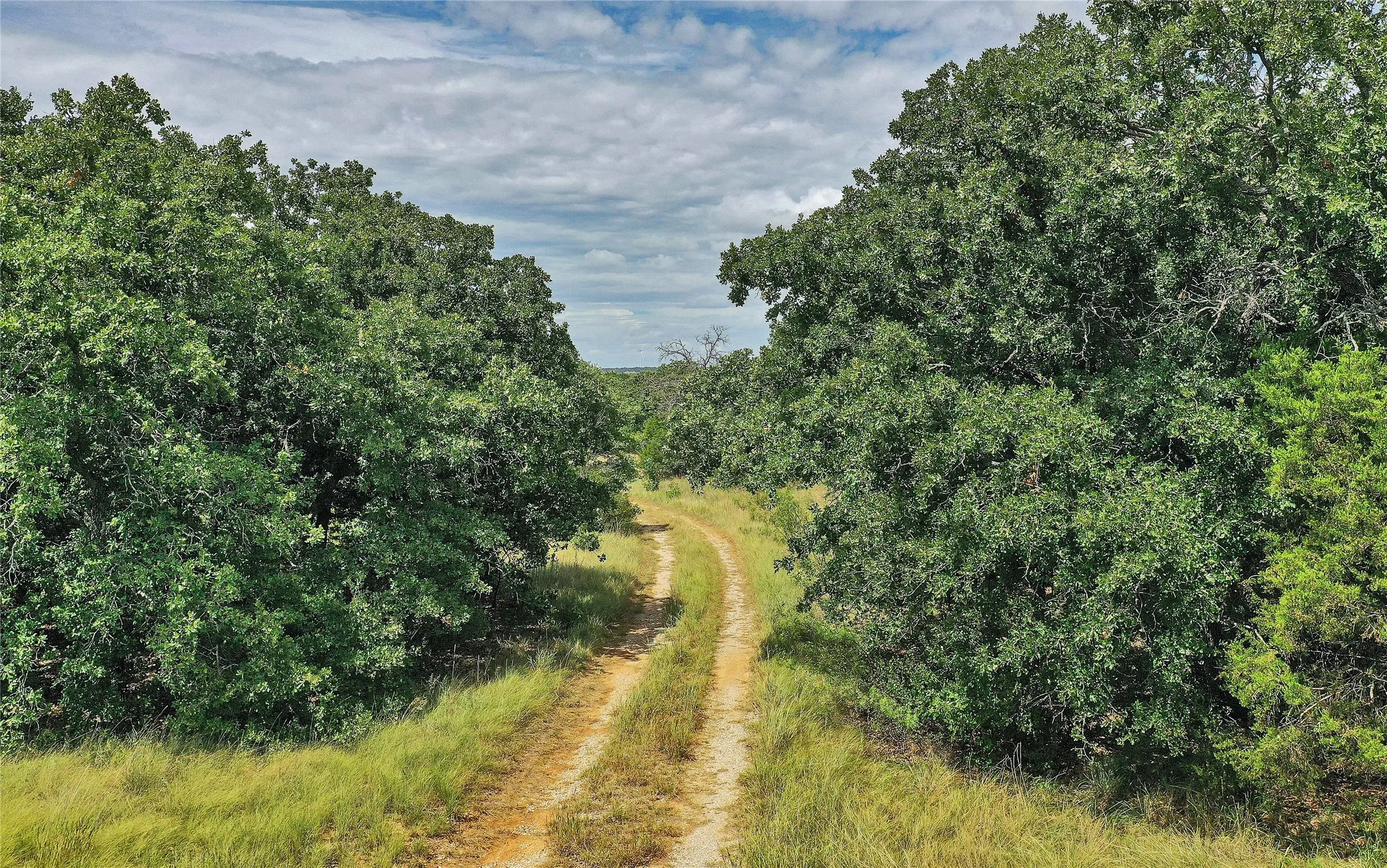 Ranch For Sale in Jack County , 157 Acres Nash Road, Jacksboro, Texas 76458, 0, 0, Garage spaces, 0 Sqft, built in 0, Price $1,091,150, mls#21337271, Real Estate Agent in Jacksboro, Homes For Sale in Jack county, Homes For Sale in Jacksboro, Realtor in Jacksboro Texas, Real Estate Brokerage Independent Realty Texas, Luminita Cordes Realtor