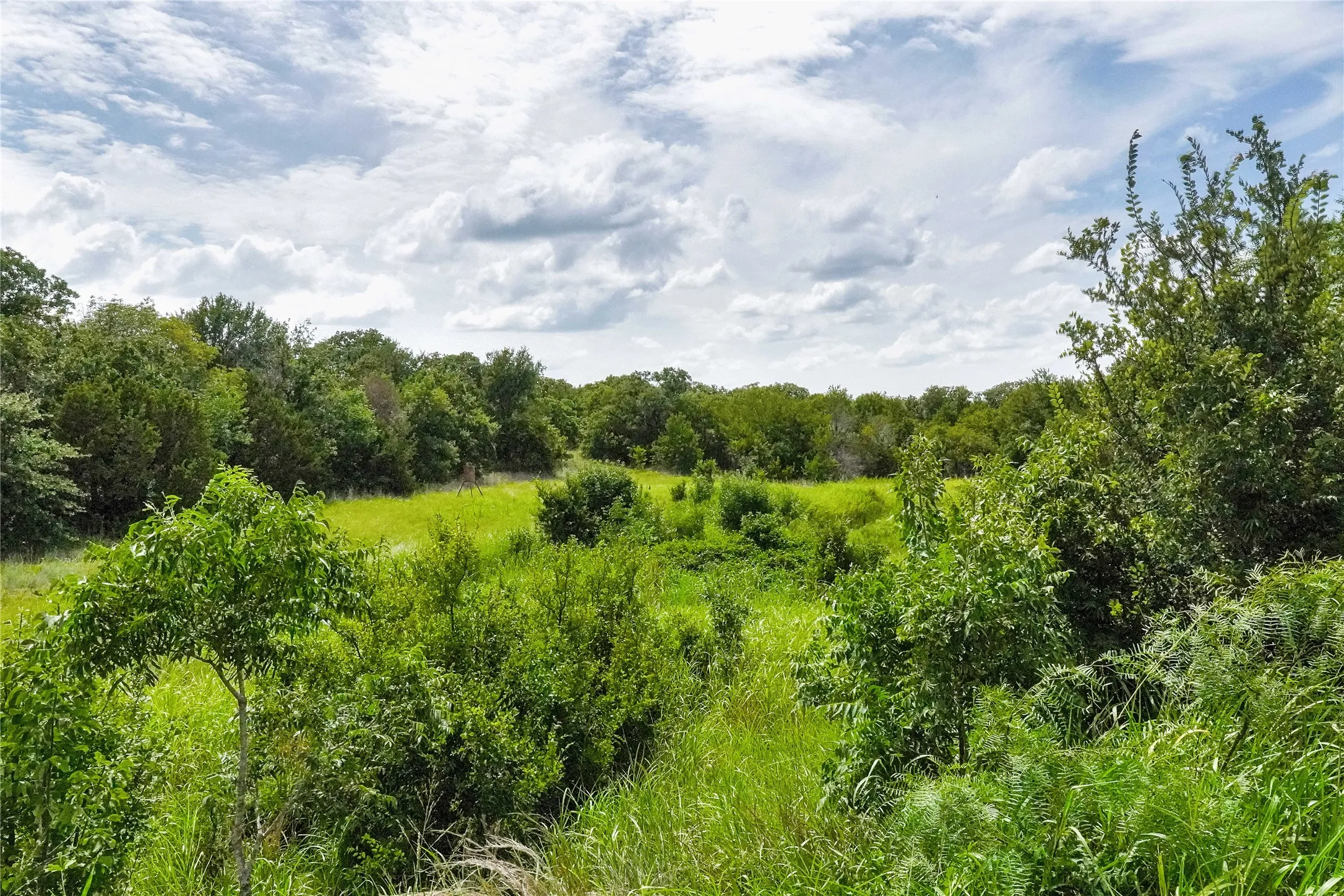 Ranch For Sale in Jack County , 157 Acres Nash Road, Jacksboro, Texas 76458, 0, 0, Garage spaces, 0 Sqft, built in 0, Price $1,091,150, mls#21337271, Real Estate Agent in Jacksboro, Homes For Sale in Jack county, Homes For Sale in Jacksboro, Realtor in Jacksboro Texas, Real Estate Brokerage Independent Realty Texas, Luminita Cordes Realtor