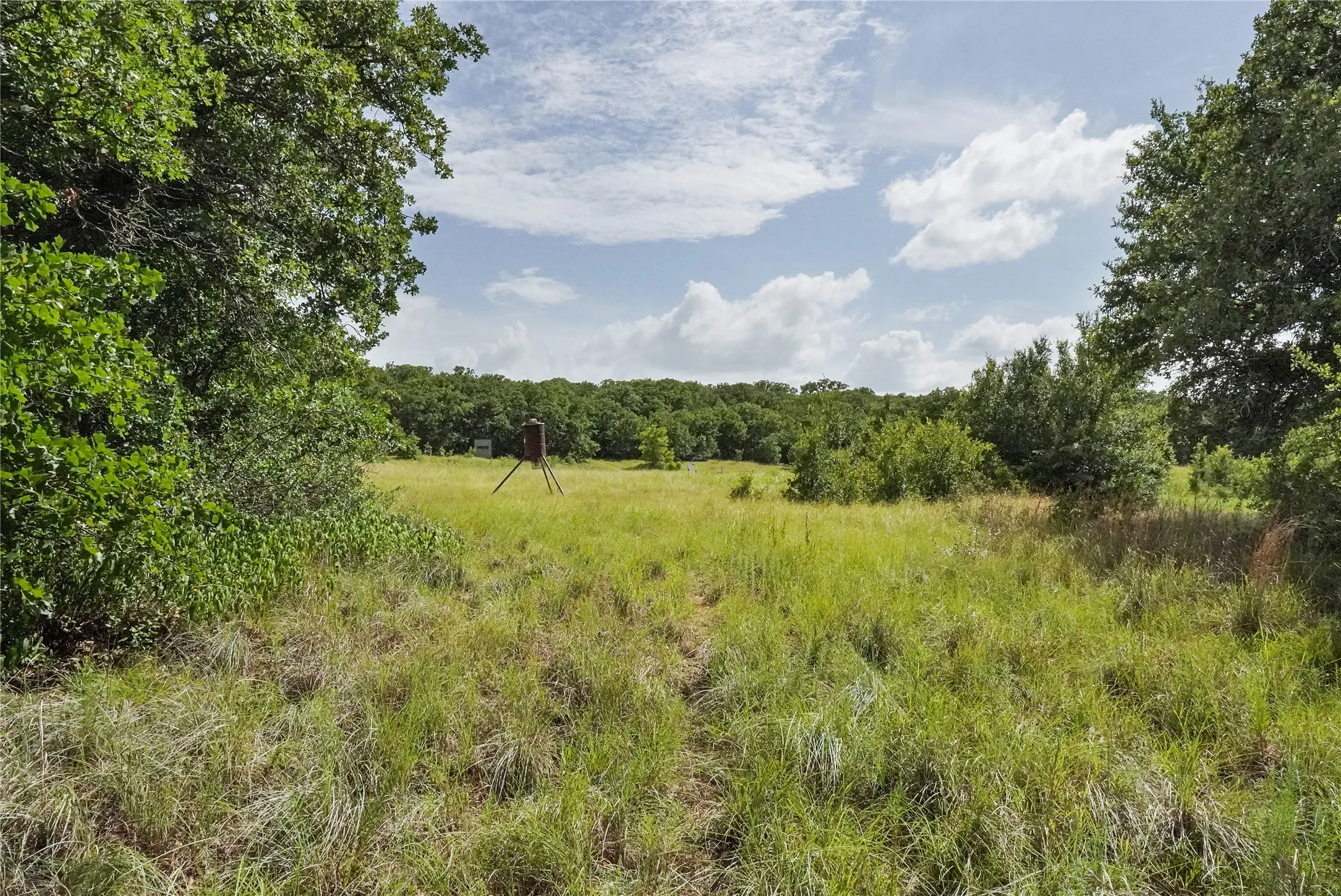 Ranch For Sale in Jack County , 157 Acres Nash Road, Jacksboro, Texas 76458, 0, 0, Garage spaces, 0 Sqft, built in 0, Price $1,091,150, mls#21337271, Real Estate Agent in Jacksboro, Homes For Sale in Jack county, Homes For Sale in Jacksboro, Realtor in Jacksboro Texas, Real Estate Brokerage Independent Realty Texas, Luminita Cordes Realtor