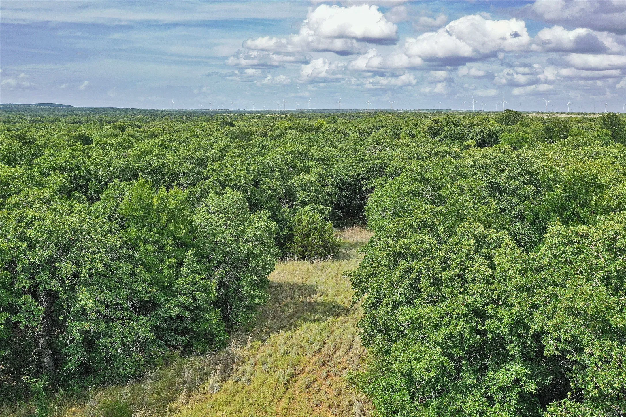 Ranch For Sale in Jack County , 157 Acres Nash Road, Jacksboro, Texas 76458, 0, 0, Garage spaces, 0 Sqft, built in 0, Price $1,091,150, mls#21337271, Real Estate Agent in Jacksboro, Homes For Sale in Jack county, Homes For Sale in Jacksboro, Realtor in Jacksboro Texas, Real Estate Brokerage Independent Realty Texas, Luminita Cordes Realtor
