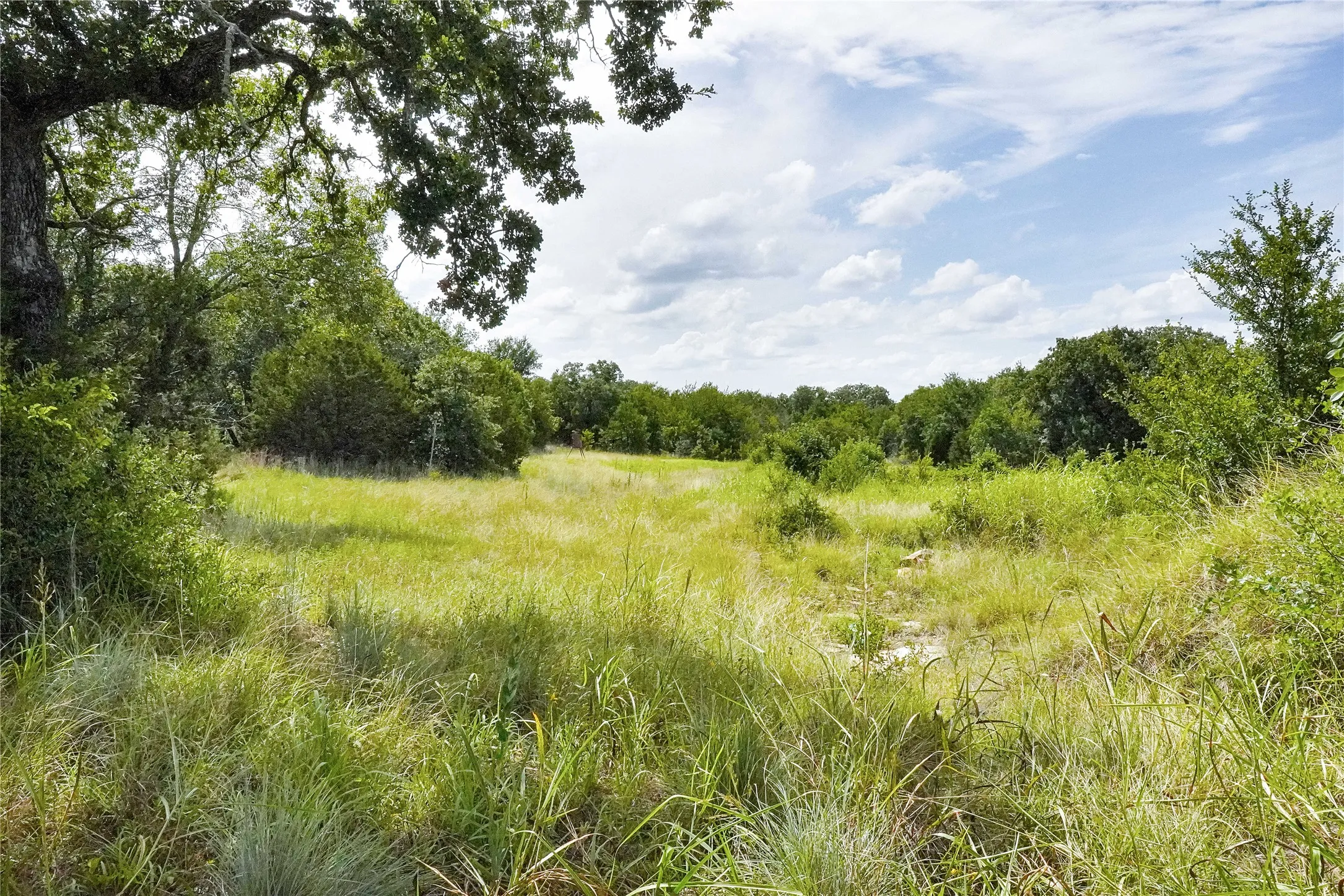 Ranch For Sale in Jack County , 157 Acres Nash Road, Jacksboro, Texas 76458, 0, 0, Garage spaces, 0 Sqft, built in 0, Price $1,091,150, mls#21337271, Real Estate Agent in Jacksboro, Homes For Sale in Jack county, Homes For Sale in Jacksboro, Realtor in Jacksboro Texas, Real Estate Brokerage Independent Realty Texas, Luminita Cordes Realtor