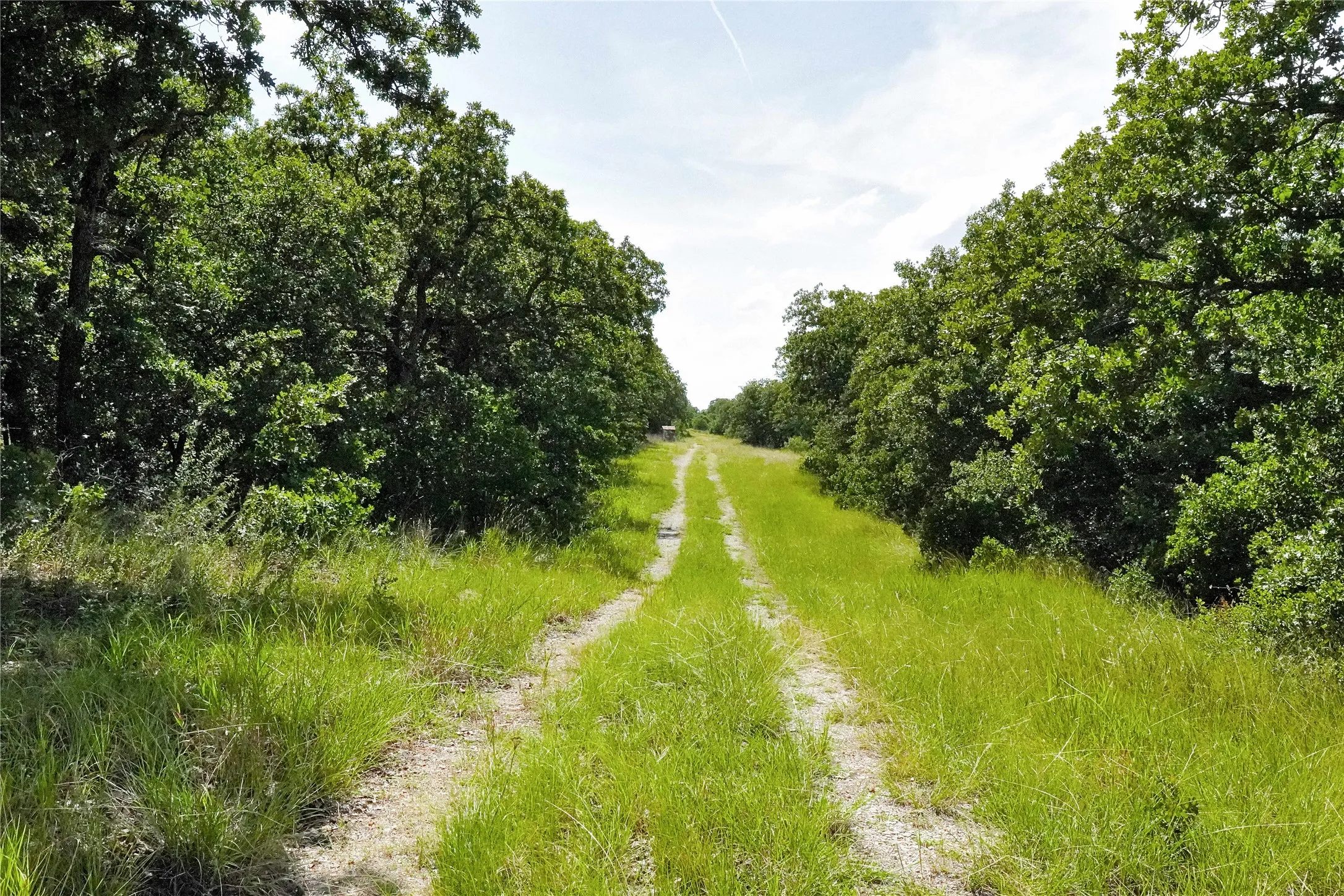 Ranch For Sale in Jack County , 157 Acres Nash Road, Jacksboro, Texas 76458, 0, 0, Garage spaces, 0 Sqft, built in 0, Price $1,091,150, mls#21337271, Real Estate Agent in Jacksboro, Homes For Sale in Jack county, Homes For Sale in Jacksboro, Realtor in Jacksboro Texas, Real Estate Brokerage Independent Realty Texas, Luminita Cordes Realtor