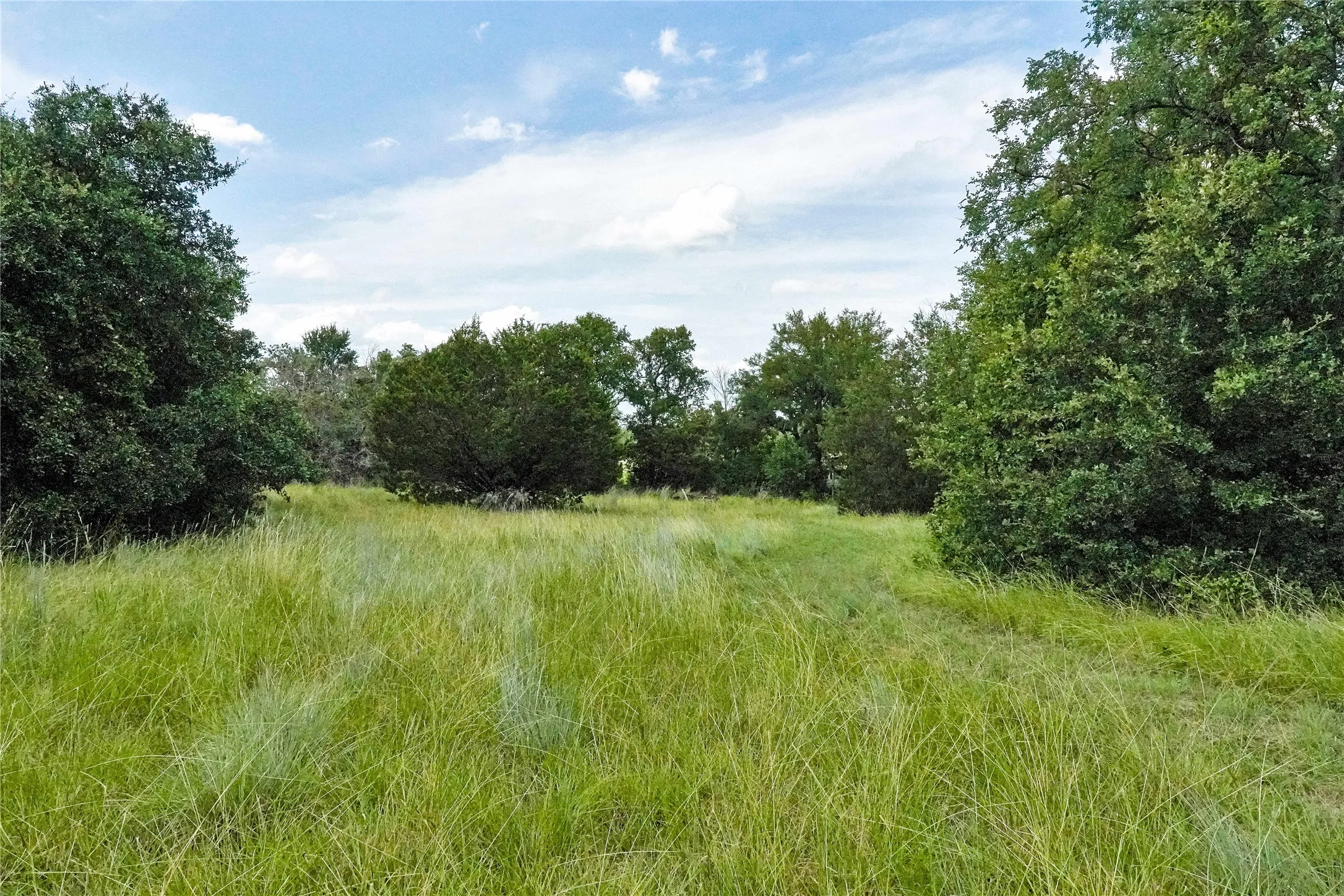 Ranch For Sale in Jack County , 157 Acres Nash Road, Jacksboro, Texas 76458, 0, 0, Garage spaces, 0 Sqft, built in 0, Price $1,091,150, mls#21337271, Real Estate Agent in Jacksboro, Homes For Sale in Jack county, Homes For Sale in Jacksboro, Realtor in Jacksboro Texas, Real Estate Brokerage Independent Realty Texas, Luminita Cordes Realtor