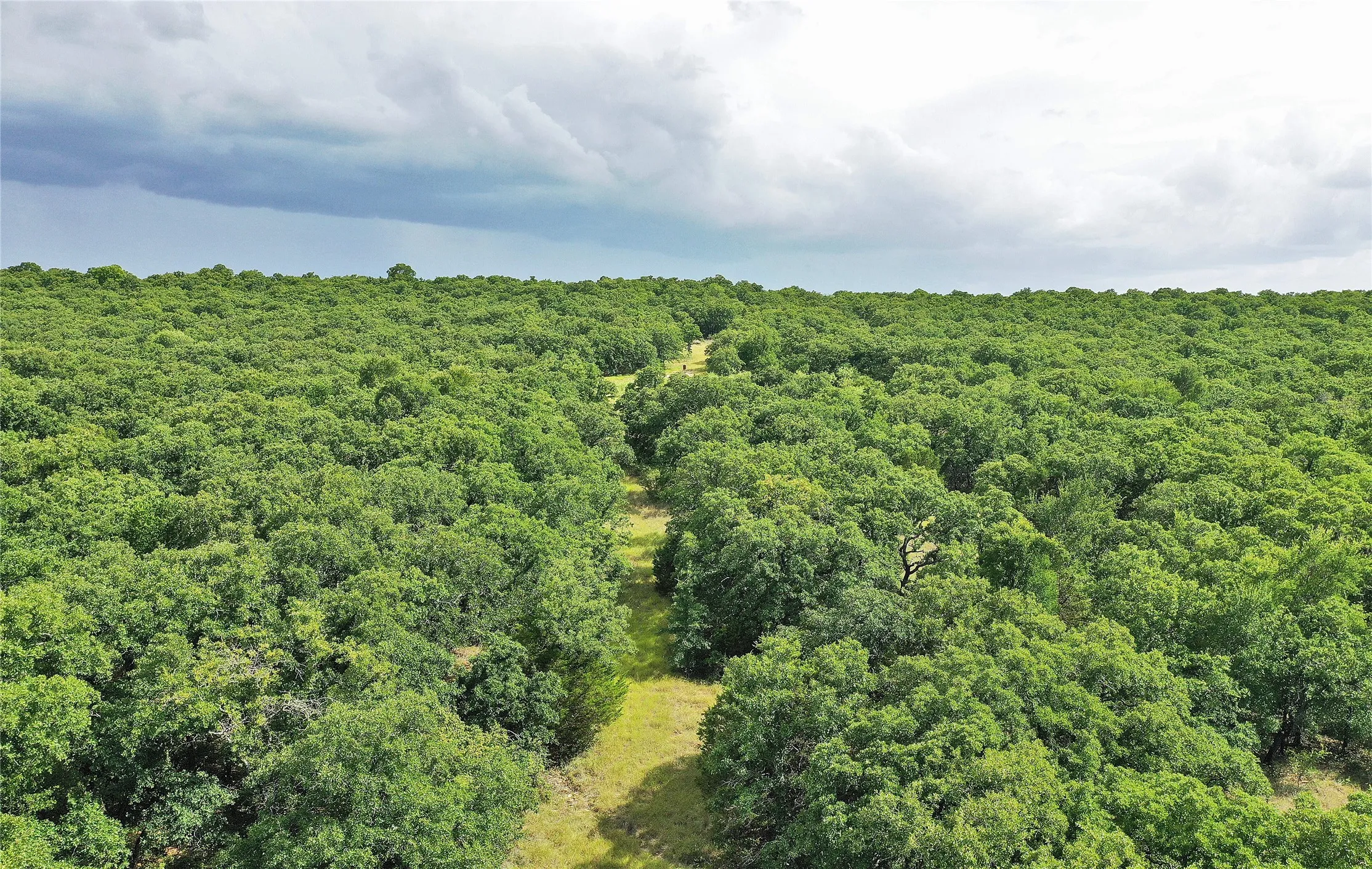 Ranch For Sale in Jack County , 157 Acres Nash Road, Jacksboro, Texas 76458, 0, 0, Garage spaces, 0 Sqft, built in 0, Price $1,091,150, mls#21337271, Real Estate Agent in Jacksboro, Homes For Sale in Jack county, Homes For Sale in Jacksboro, Realtor in Jacksboro Texas, Real Estate Brokerage Independent Realty Texas, Luminita Cordes Realtor