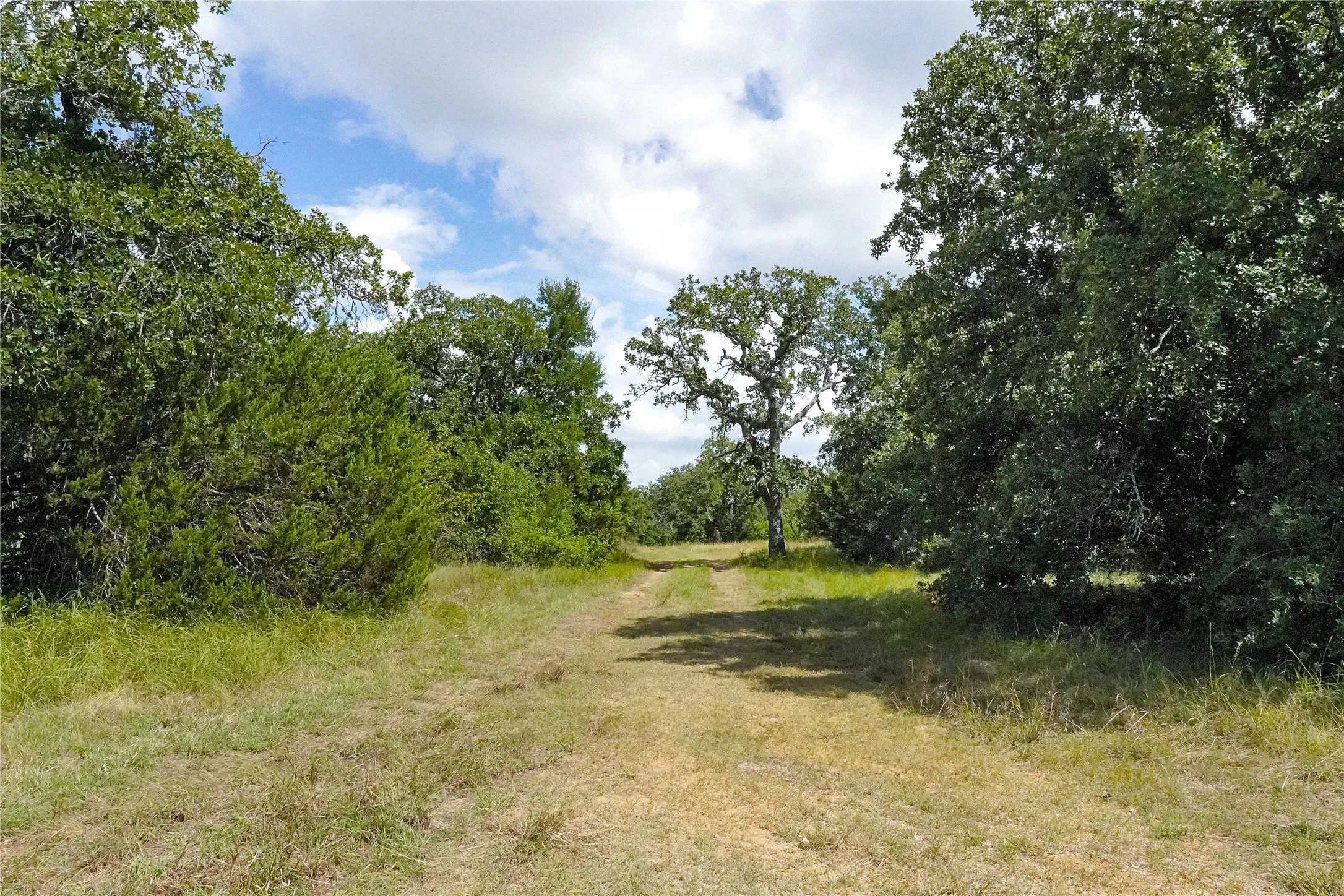 Ranch For Sale in Jack County , 157 Acres Nash Road, Jacksboro, Texas 76458, 0, 0, Garage spaces, 0 Sqft, built in 0, Price $1,091,150, mls#21337271, Real Estate Agent in Jacksboro, Homes For Sale in Jack county, Homes For Sale in Jacksboro, Realtor in Jacksboro Texas, Real Estate Brokerage Independent Realty Texas, Luminita Cordes Realtor