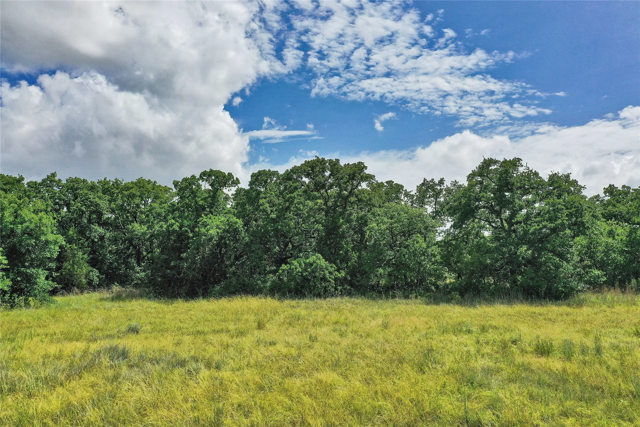 Ranch For Sale in Jack County , 157 Acres Nash Road, Jacksboro, Texas 76458, 0, 0, Garage spaces, 0 Sqft, built in 0, Price $1,091,150, mls#21337271, Real Estate Agent in Jacksboro, Homes For Sale in Jack county, Homes For Sale in Jacksboro, Realtor in Jacksboro Texas, Real Estate Brokerage Independent Realty Texas, Luminita Cordes Realtor