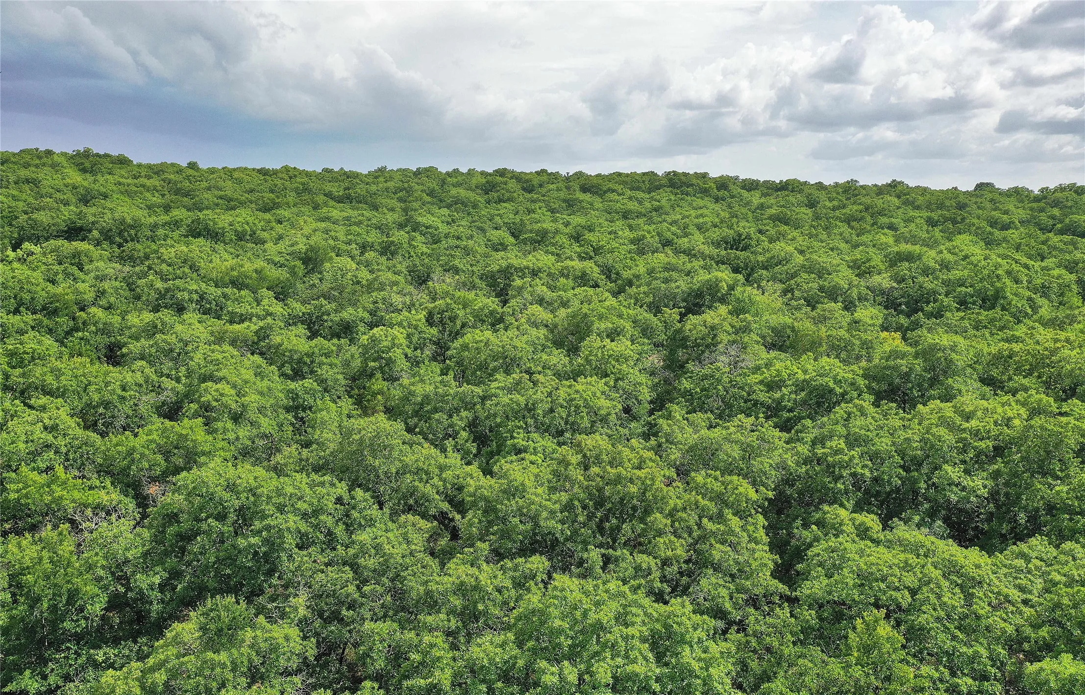 Ranch For Sale in Jack County , 157 Acres Nash Road, Jacksboro, Texas 76458, 0, 0, Garage spaces, 0 Sqft, built in 0, Price $1,091,150, mls#21337271, Real Estate Agent in Jacksboro, Homes For Sale in Jack county, Homes For Sale in Jacksboro, Realtor in Jacksboro Texas, Real Estate Brokerage Independent Realty Texas, Luminita Cordes Realtor