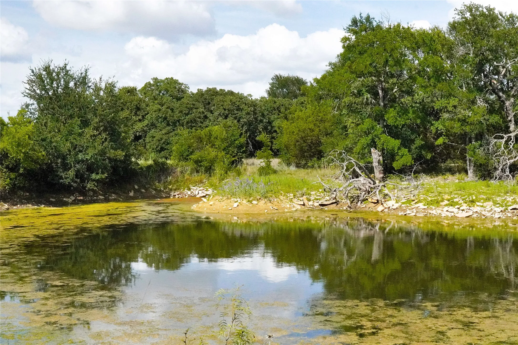 Ranch For Sale in Jack County , 157 Acres Nash Road, Jacksboro, Texas 76458, 0, 0, Garage spaces, 0 Sqft, built in 0, Price $1,091,150, mls#21337271, Real Estate Agent in Jacksboro, Homes For Sale in Jack county, Homes For Sale in Jacksboro, Realtor in Jacksboro Texas, Real Estate Brokerage Independent Realty Texas, Luminita Cordes Realtor