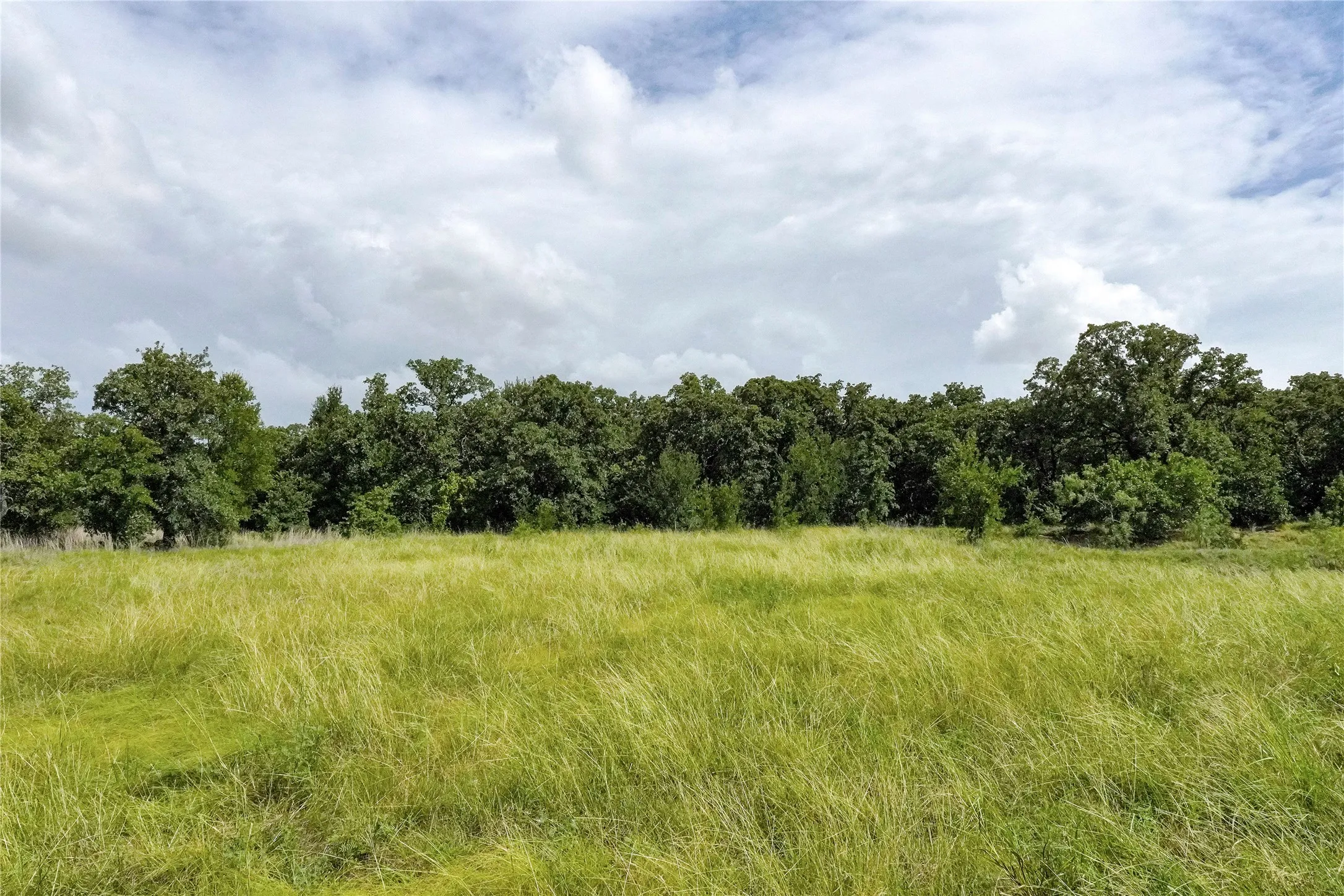 Ranch For Sale in Jack County , 157 Acres Nash Road, Jacksboro, Texas 76458, 0, 0, Garage spaces, 0 Sqft, built in 0, Price $1,091,150, mls#21337271, Real Estate Agent in Jacksboro, Homes For Sale in Jack county, Homes For Sale in Jacksboro, Realtor in Jacksboro Texas, Real Estate Brokerage Independent Realty Texas, Luminita Cordes Realtor