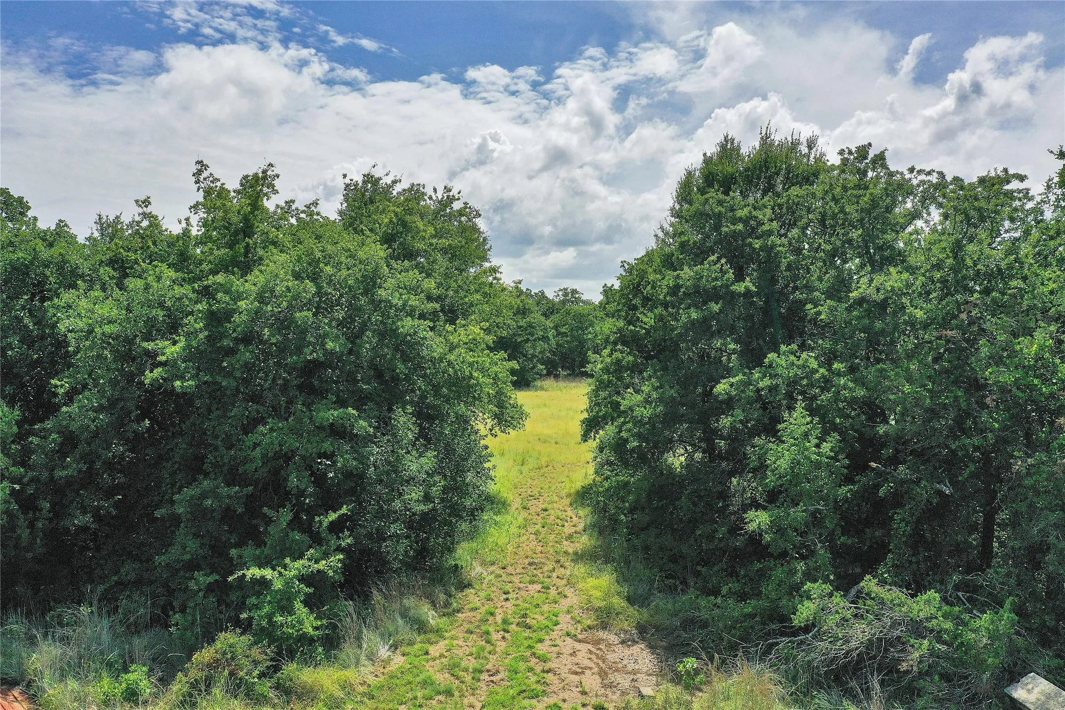 Ranch For Sale in Jack County , 157 Acres Nash Road, Jacksboro, Texas 76458, 0, 0, Garage spaces, 0 Sqft, built in 0, Price $1,091,150, mls#21337271, Real Estate Agent in Jacksboro, Homes For Sale in Jack county, Homes For Sale in Jacksboro, Realtor in Jacksboro Texas, Real Estate Brokerage Independent Realty Texas, Luminita Cordes Realtor