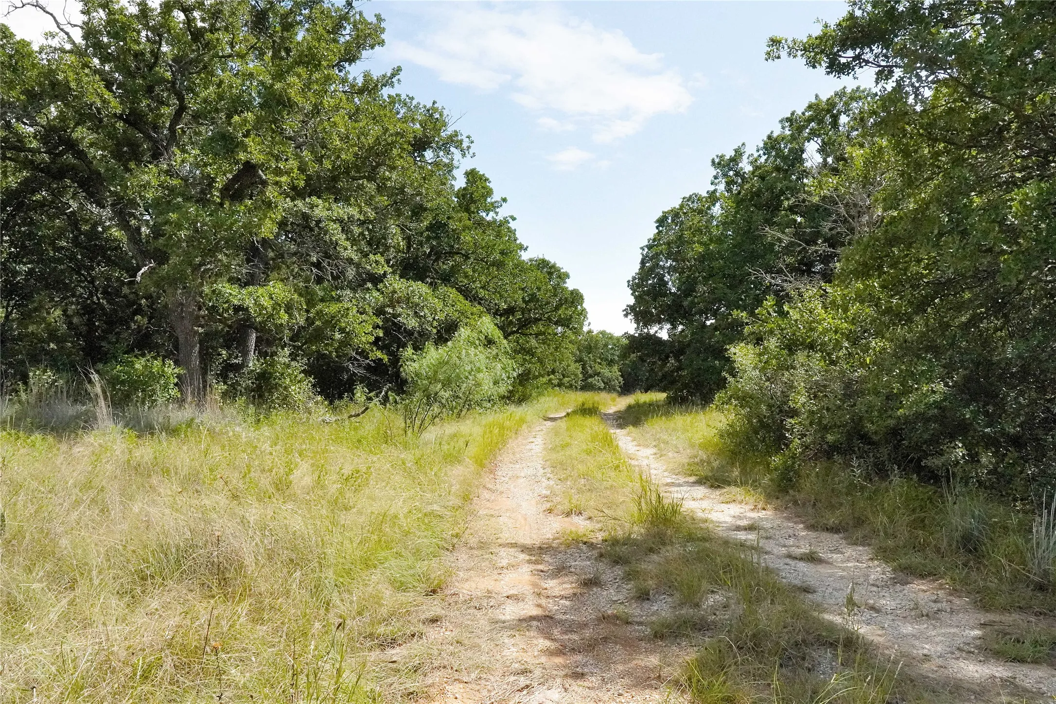 Ranch For Sale in Jack County , 157 Acres Nash Road, Jacksboro, Texas 76458, 0, 0, Garage spaces, 0 Sqft, built in 0, Price $1,091,150, mls#21337271, Real Estate Agent in Jacksboro, Homes For Sale in Jack county, Homes For Sale in Jacksboro, Realtor in Jacksboro Texas, Real Estate Brokerage Independent Realty Texas, Luminita Cordes Realtor