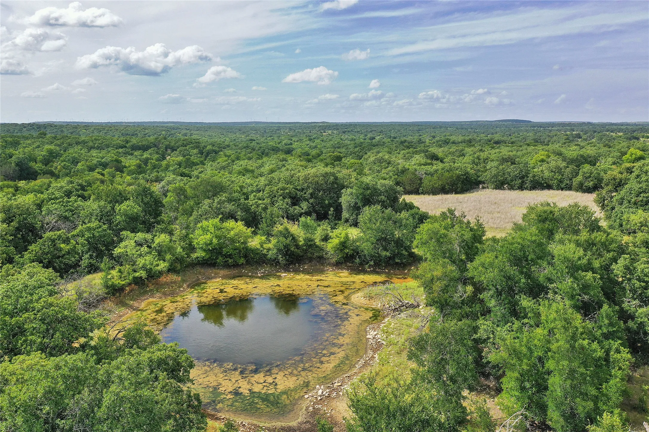 Ranch For Sale in Jack County , 157 Acres Nash Road, Jacksboro, Texas 76458, 0, 0, Garage spaces, 0 Sqft, built in 0, Price $1,091,150, mls#21337271, Real Estate Agent in Jacksboro, Homes For Sale in Jack county, Homes For Sale in Jacksboro, Realtor in Jacksboro Texas, Real Estate Brokerage Independent Realty Texas, Luminita Cordes Realtor