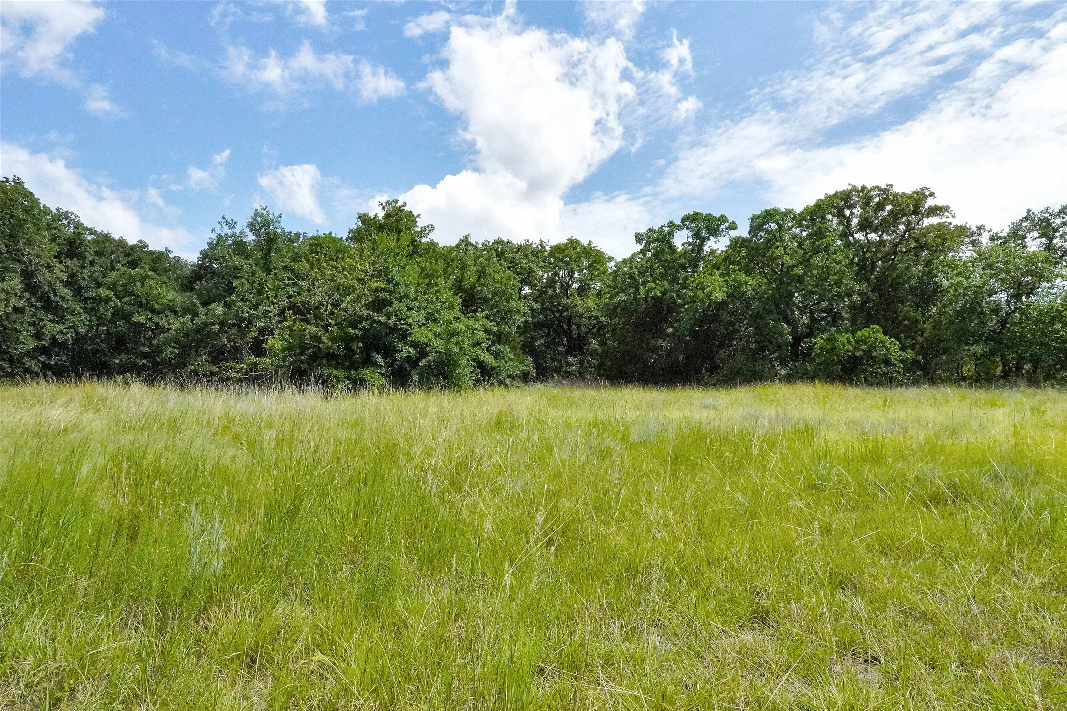 Ranch For Sale in Jack County , 157 Acres Nash Road, Jacksboro, Texas 76458, 0, 0, Garage spaces, 0 Sqft, built in 0, Price $1,091,150, mls#21337271, Real Estate Agent in Jacksboro, Homes For Sale in Jack county, Homes For Sale in Jacksboro, Realtor in Jacksboro Texas, Real Estate Brokerage Independent Realty Texas, Luminita Cordes Realtor
