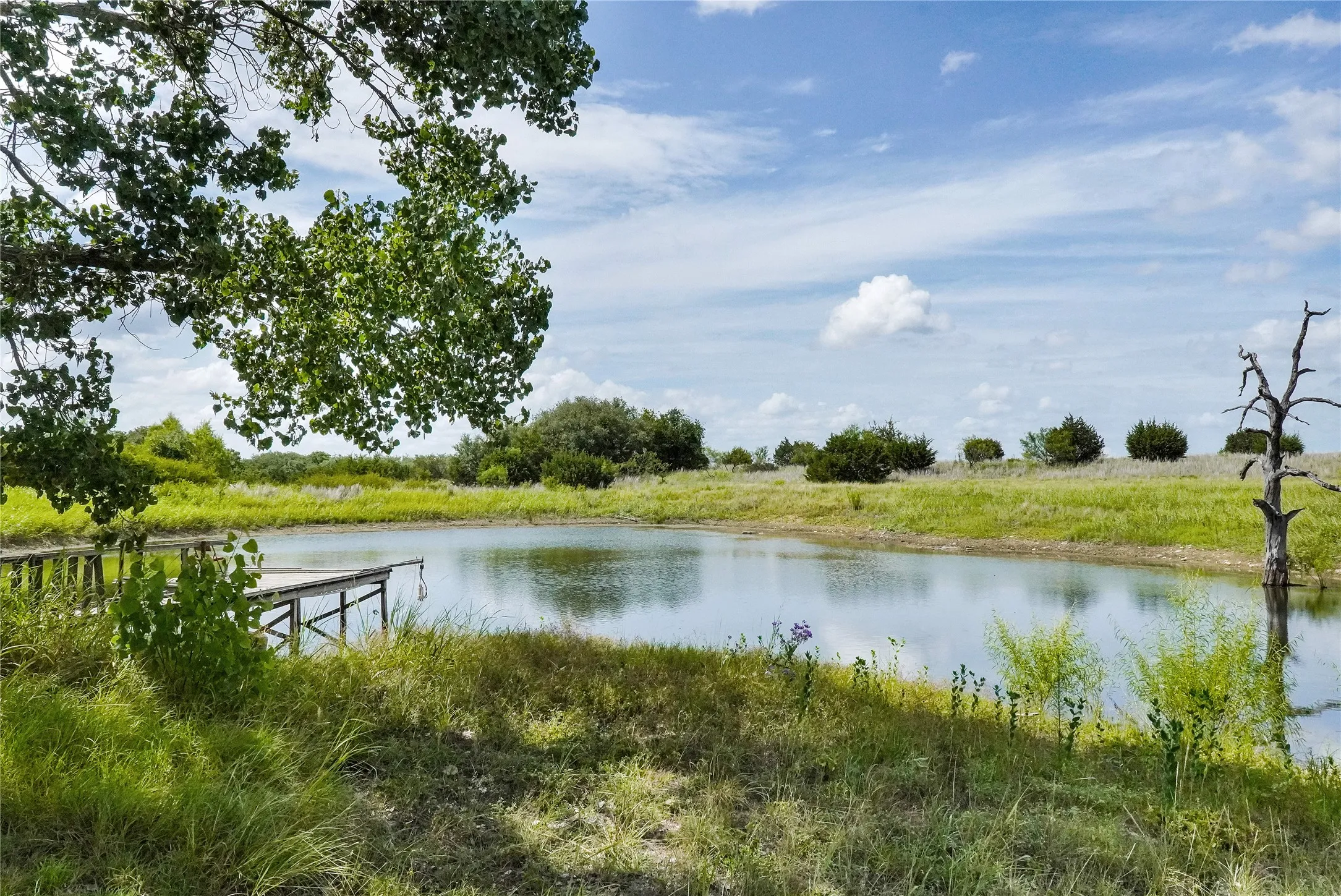 Ranch For Sale in Jack County , 157 Acres Nash Road, Jacksboro, Texas 76458, 0, 0, Garage spaces, 0 Sqft, built in 0, Price $1,091,150, mls#21337271, Real Estate Agent in Jacksboro, Homes For Sale in Jack county, Homes For Sale in Jacksboro, Realtor in Jacksboro Texas, Real Estate Brokerage Independent Realty Texas, Luminita Cordes Realtor