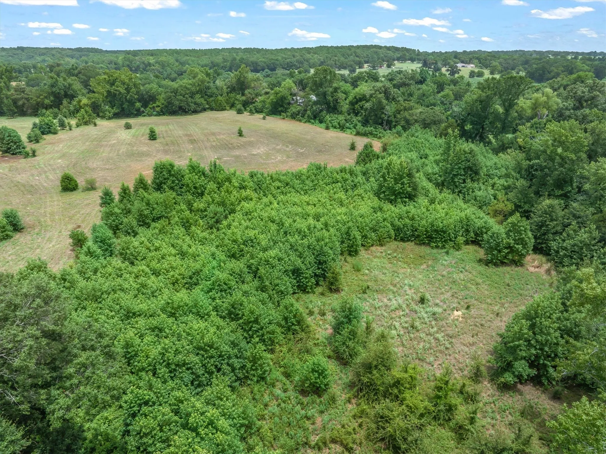 Unimproved Land For Sale in Van Zandt County , 4900 FM 2909, Canton, Texas 75103, 0, 0, Garage spaces, 0 Sqft, built in 0, Price $400,000, mls#21337279, Real Estate Agent in Canton, Homes For Sale in Van Zandt county, Homes For Sale in Canton, Realtor in Canton Texas, Real Estate Brokerage Independent Realty Texas, Luminita Cordes Realtor