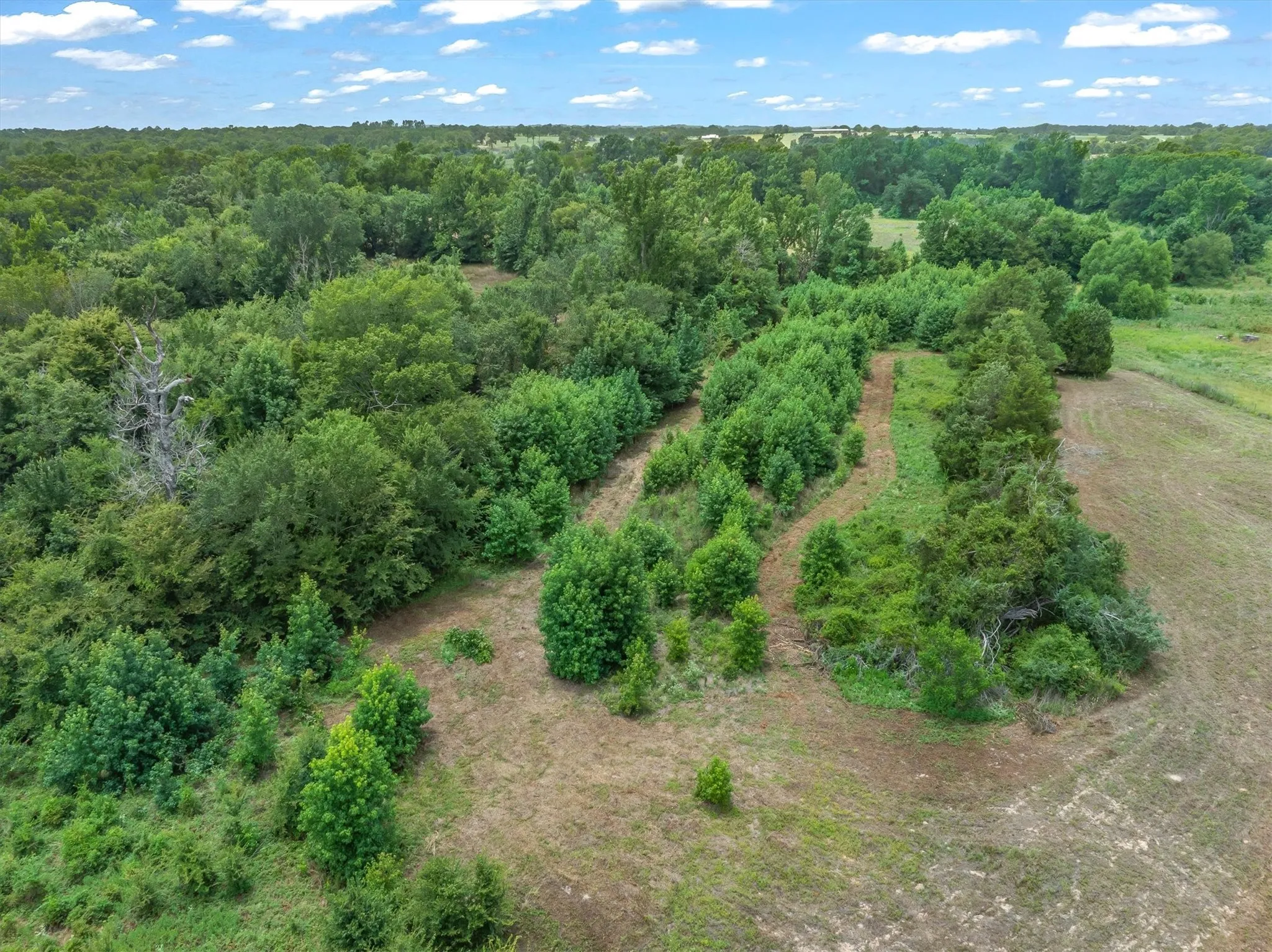 Unimproved Land For Sale in Van Zandt County , 4900 FM 2909, Canton, Texas 75103, 0, 0, Garage spaces, 0 Sqft, built in 0, Price $400,000, mls#21337279, Real Estate Agent in Canton, Homes For Sale in Van Zandt county, Homes For Sale in Canton, Realtor in Canton Texas, Real Estate Brokerage Independent Realty Texas, Luminita Cordes Realtor