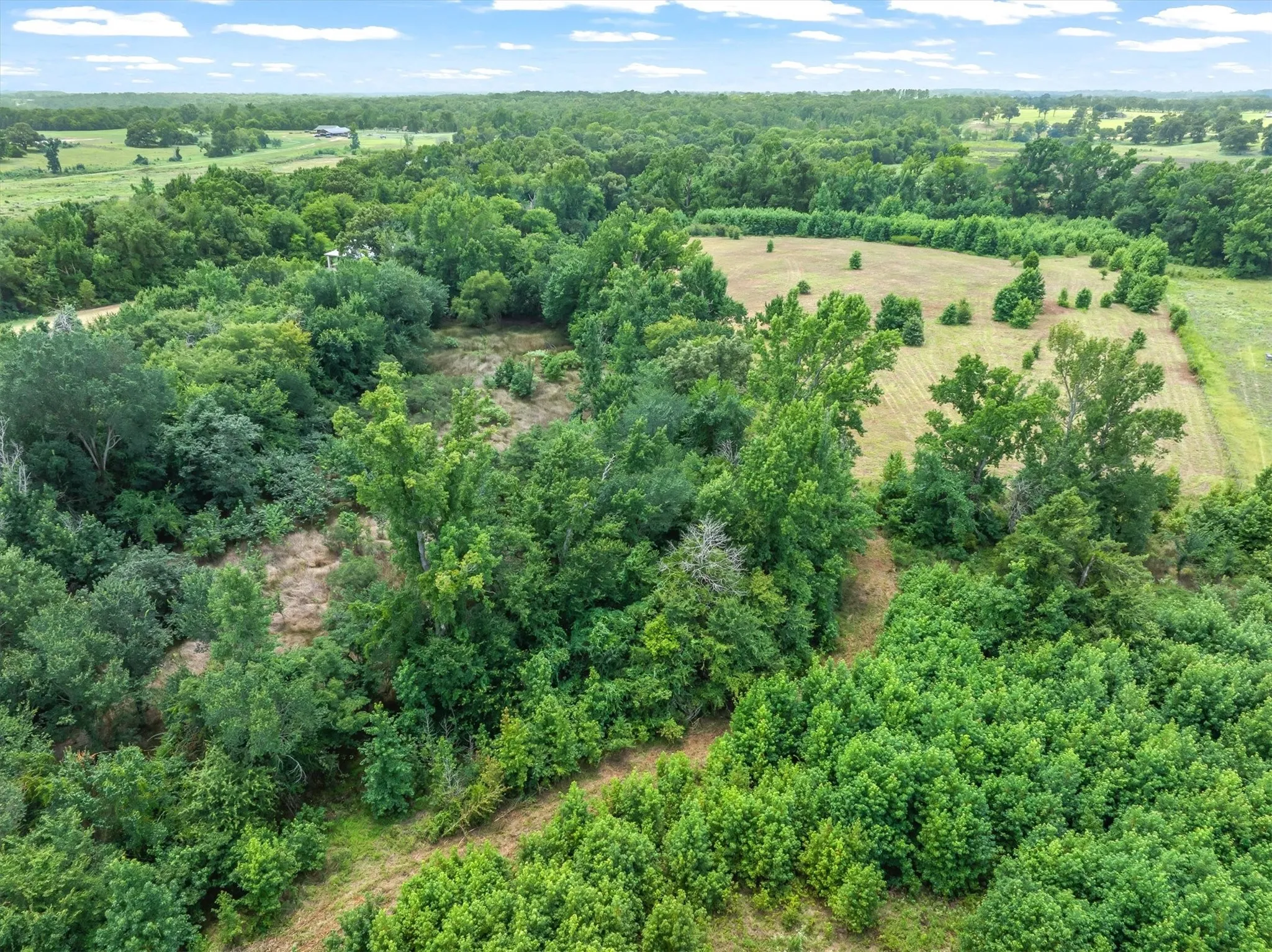 Unimproved Land For Sale in Van Zandt County , 4900 FM 2909, Canton, Texas 75103, 0, 0, Garage spaces, 0 Sqft, built in 0, Price $400,000, mls#21337279, Real Estate Agent in Canton, Homes For Sale in Van Zandt county, Homes For Sale in Canton, Realtor in Canton Texas, Real Estate Brokerage Independent Realty Texas, Luminita Cordes Realtor