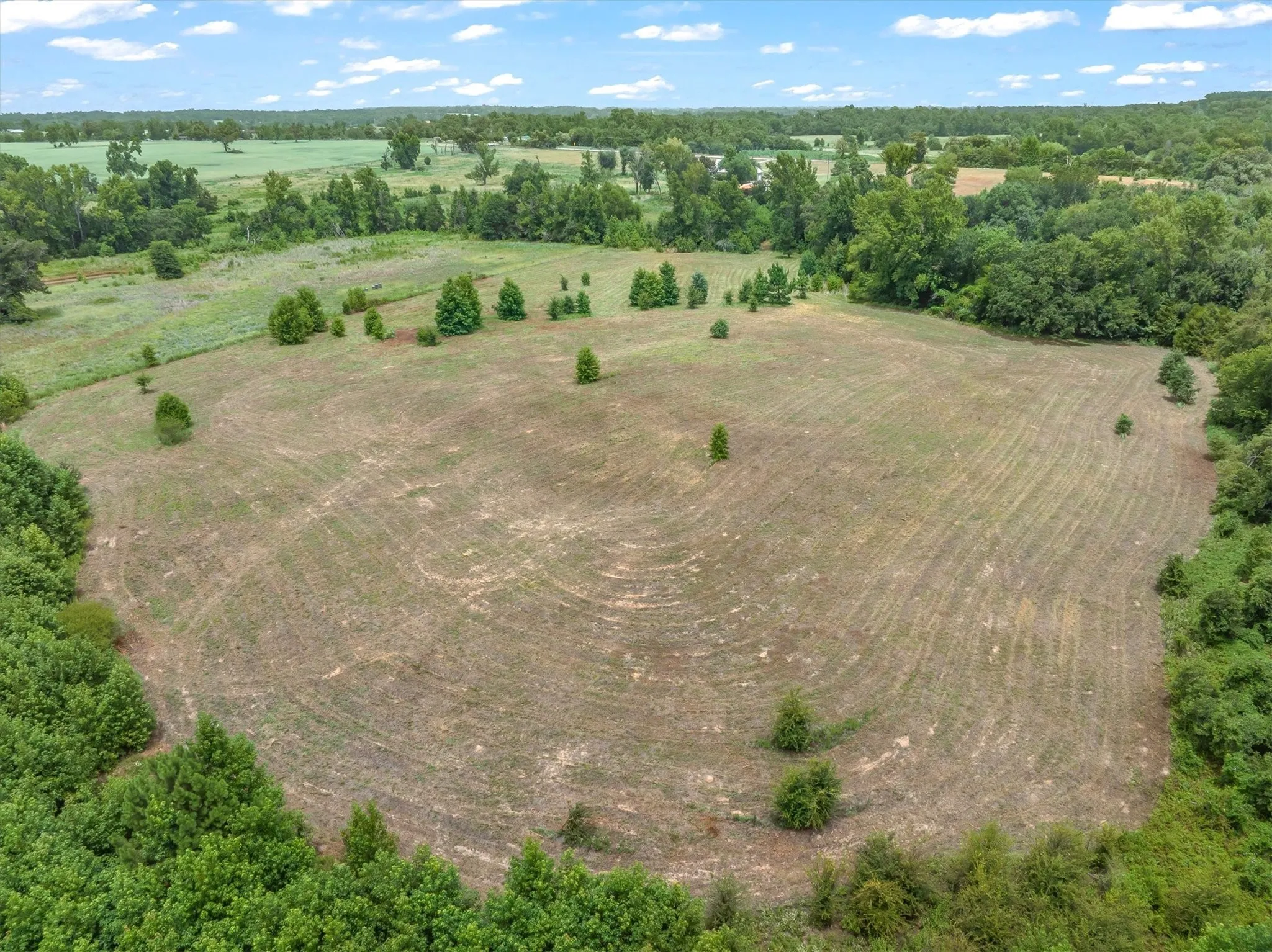 Unimproved Land For Sale in Van Zandt County , 4900 FM 2909, Canton, Texas 75103, 0, 0, Garage spaces, 0 Sqft, built in 0, Price $400,000, mls#21337279, Real Estate Agent in Canton, Homes For Sale in Van Zandt county, Homes For Sale in Canton, Realtor in Canton Texas, Real Estate Brokerage Independent Realty Texas, Luminita Cordes Realtor