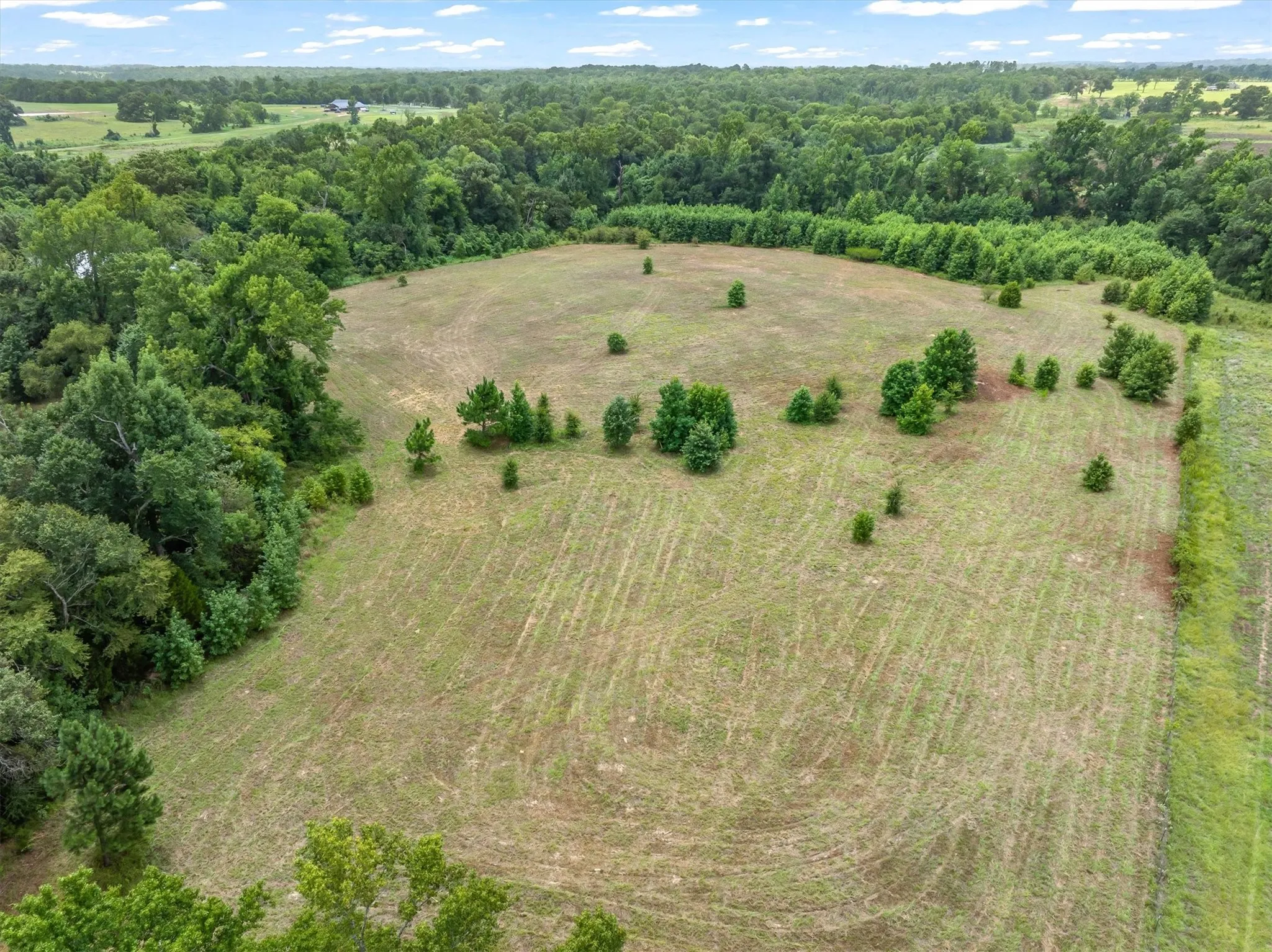 Unimproved Land For Sale in Van Zandt County , 4900 FM 2909, Canton, Texas 75103, 0, 0, Garage spaces, 0 Sqft, built in 0, Price $400,000, mls#21337279, Real Estate Agent in Canton, Homes For Sale in Van Zandt county, Homes For Sale in Canton, Realtor in Canton Texas, Real Estate Brokerage Independent Realty Texas, Luminita Cordes Realtor