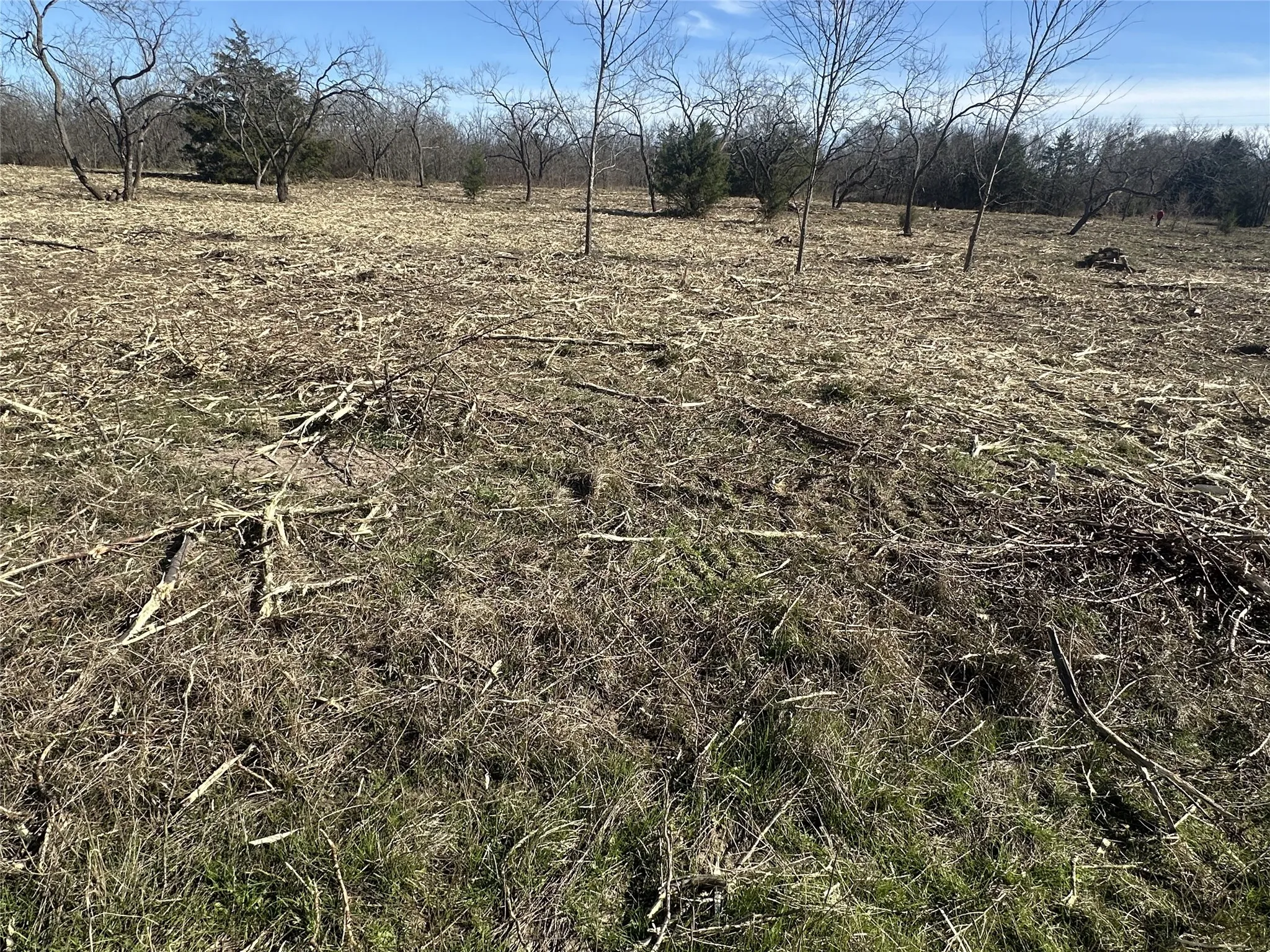 Improved Land For Sale in Kaufman County , 7077 County Road 4042, Kemp, Texas 75143, 0, 0, Garage spaces, 0 Sqft, built in 0, Price $59,000, mls#21334493, Real Estate Agent in Kemp, Homes For Sale in Kaufman county, Homes For Sale in Kemp, Realtor in Kemp Texas, Real Estate Brokerage Independent Realty Texas, Luminita Cordes Realtor