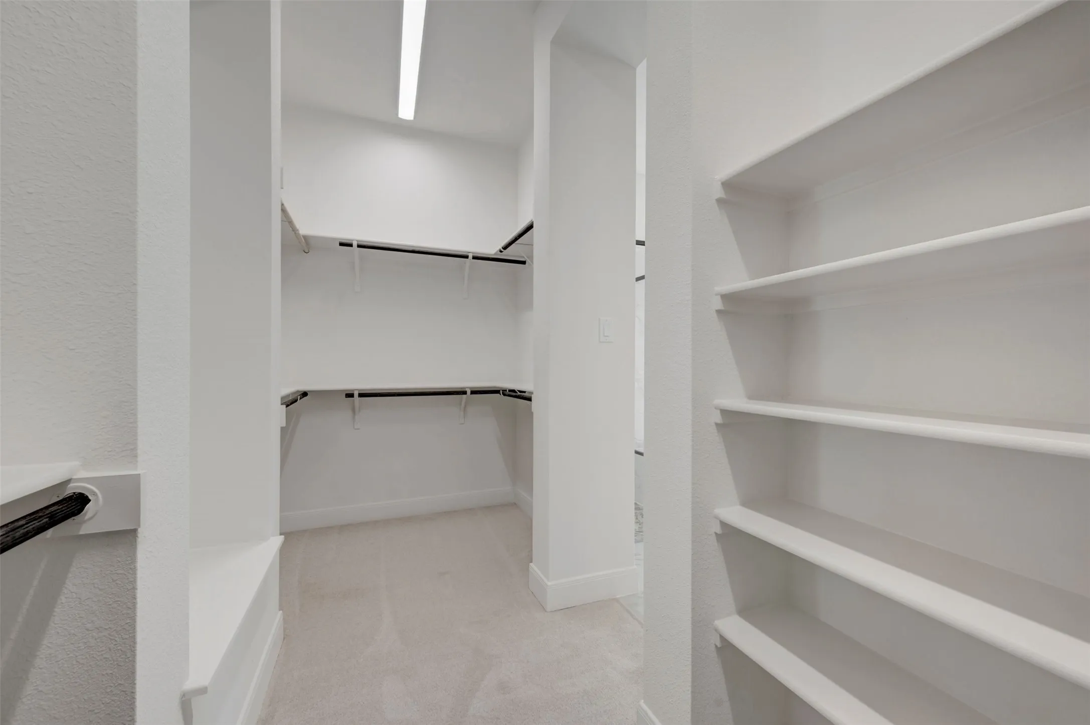 Spacious walk-in closet featuring built-in shelving, hanging rods, and carpet flooring