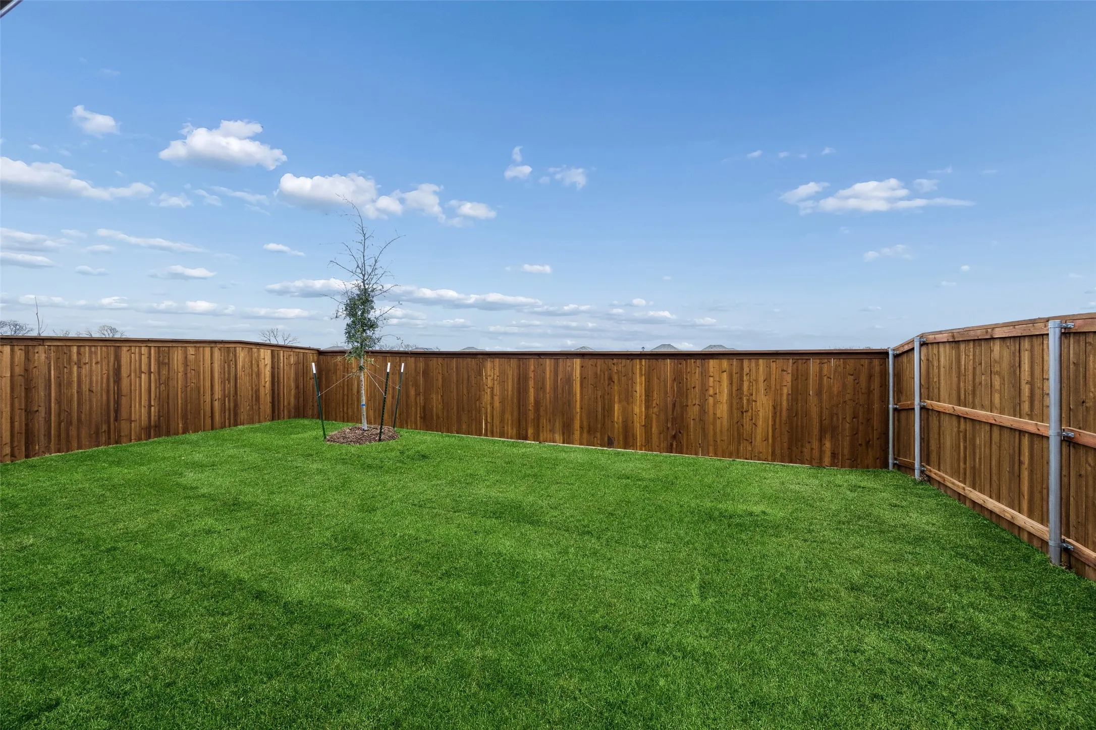 Yard in the Cedar home plan by Trophy Signature Homes – REPRESENTATIVE PHOTO