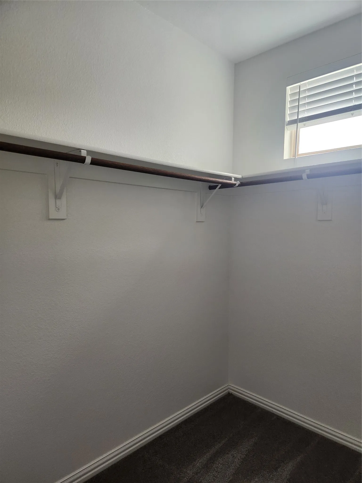 Walk-in closet with dark carpet flooring, white textured walls, and a window for natural illumination