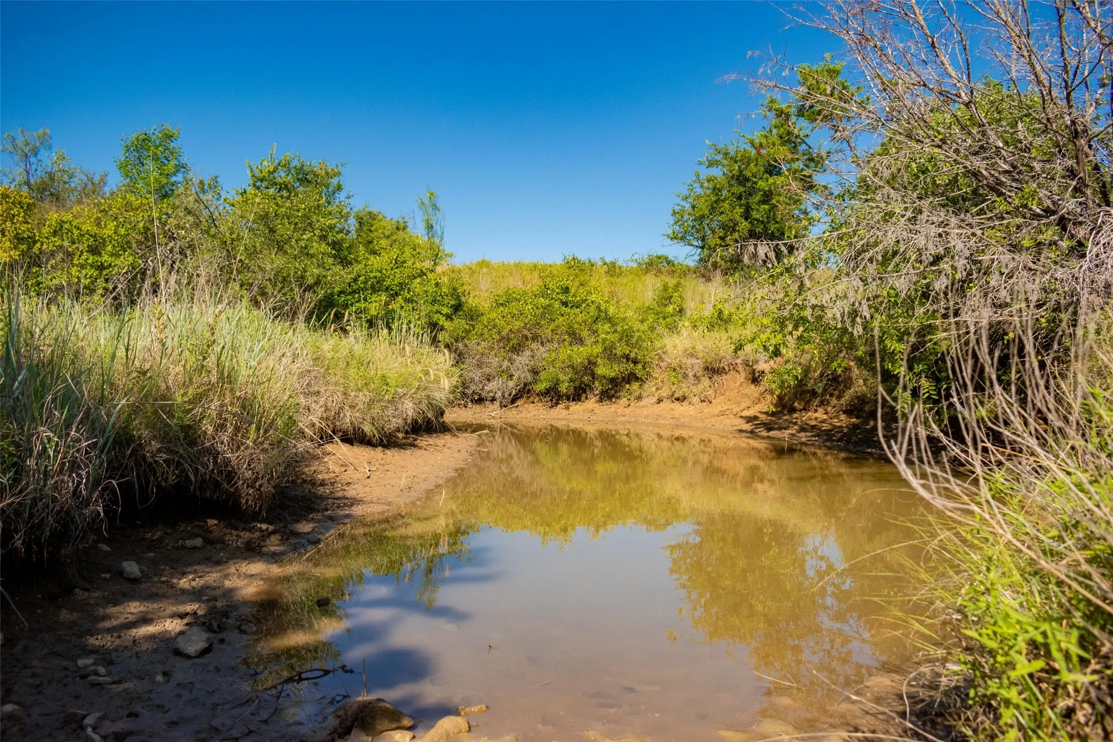 Unimproved Land For Sale in Jack County , TBD Nash Road, Jacksboro, Texas 76458, 0, 0, Garage spaces, 0 Sqft, built in 0, mls#21335252, Real Estate Agent in Jacksboro, Homes For Sale in Jack county, Homes For Sale in Jacksboro, Realtor in Jacksboro Texas, Real Estate Brokerage Independent Realty Texas, Luminita Cordes Realtor