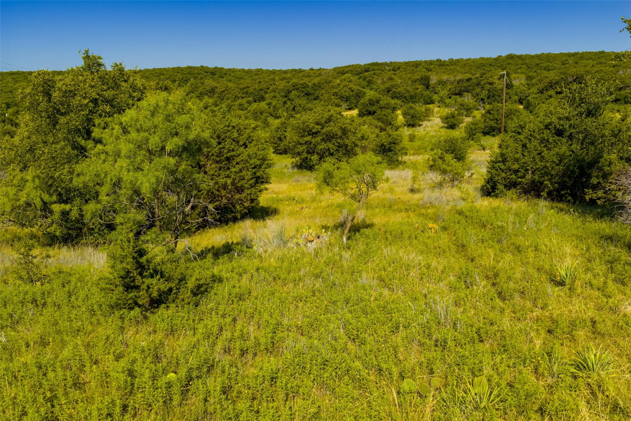 Unimproved Land For Sale in Jack County , TBD Nash Road, Jacksboro, Texas 76458, 0, 0, Garage spaces, 0 Sqft, built in 0, mls#21335252, Real Estate Agent in Jacksboro, Homes For Sale in Jack county, Homes For Sale in Jacksboro, Realtor in Jacksboro Texas, Real Estate Brokerage Independent Realty Texas, Luminita Cordes Realtor