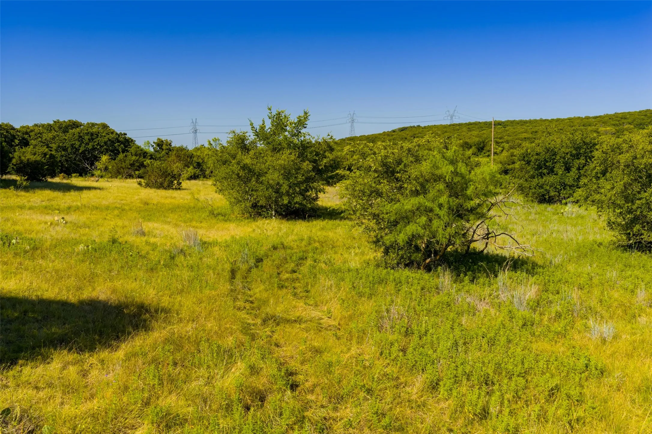 Unimproved Land For Sale in Jack County , TBD Nash Road, Jacksboro, Texas 76458, 0, 0, Garage spaces, 0 Sqft, built in 0, mls#21335252, Real Estate Agent in Jacksboro, Homes For Sale in Jack county, Homes For Sale in Jacksboro, Realtor in Jacksboro Texas, Real Estate Brokerage Independent Realty Texas, Luminita Cordes Realtor