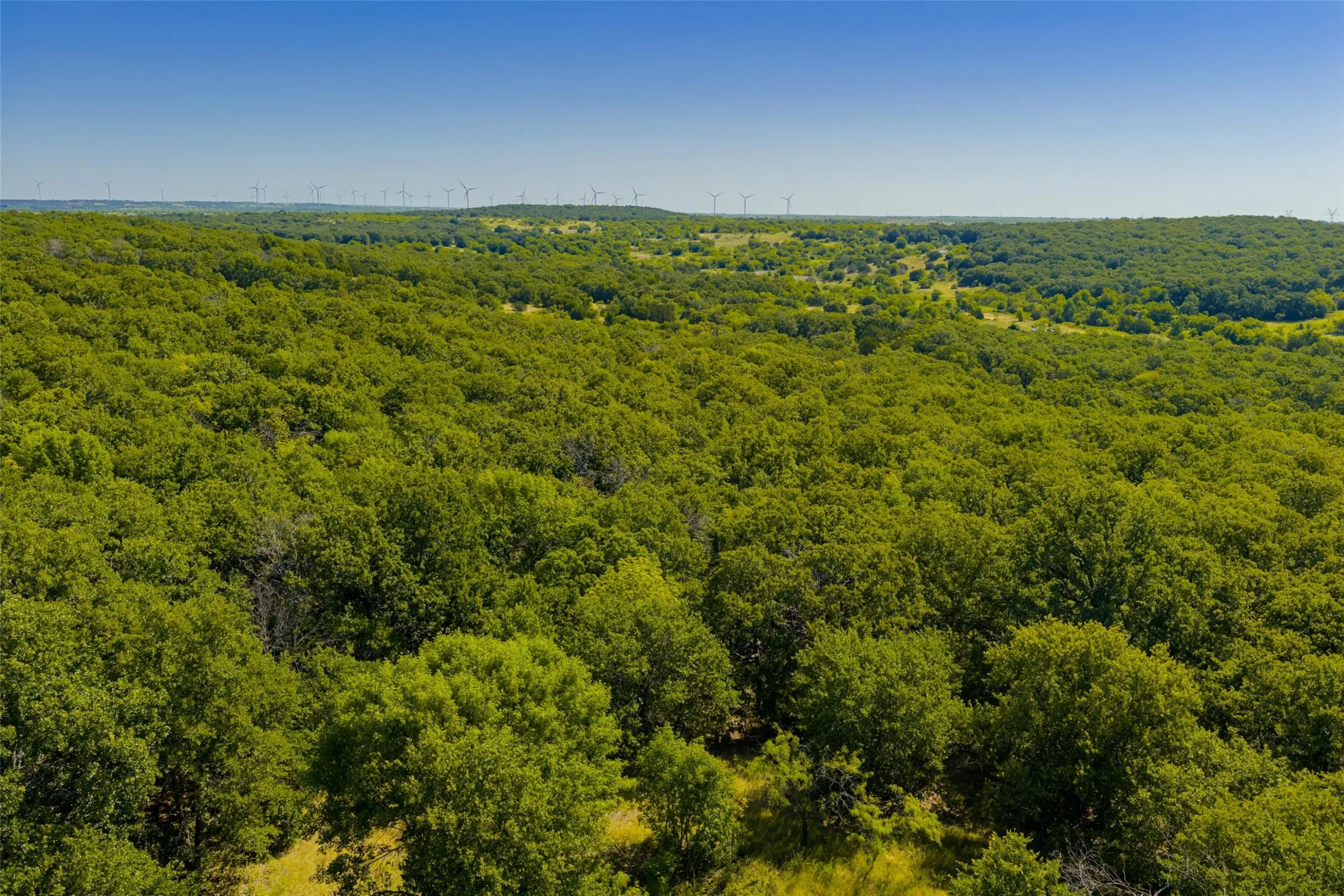 Unimproved Land For Sale in Jack County , TBD Nash Road, Jacksboro, Texas 76458, 0, 0, Garage spaces, 0 Sqft, built in 0, mls#21335252, Real Estate Agent in Jacksboro, Homes For Sale in Jack county, Homes For Sale in Jacksboro, Realtor in Jacksboro Texas, Real Estate Brokerage Independent Realty Texas, Luminita Cordes Realtor