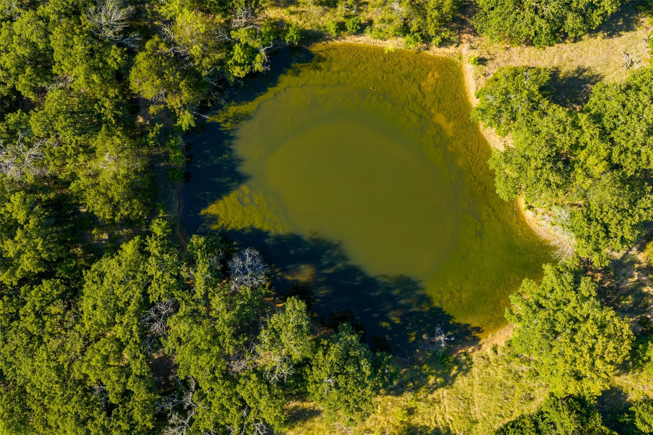 Unimproved Land For Sale in Jack County , TBD Nash Road, Jacksboro, Texas 76458, 0, 0, Garage spaces, 0 Sqft, built in 0, mls#21335252, Real Estate Agent in Jacksboro, Homes For Sale in Jack county, Homes For Sale in Jacksboro, Realtor in Jacksboro Texas, Real Estate Brokerage Independent Realty Texas, Luminita Cordes Realtor