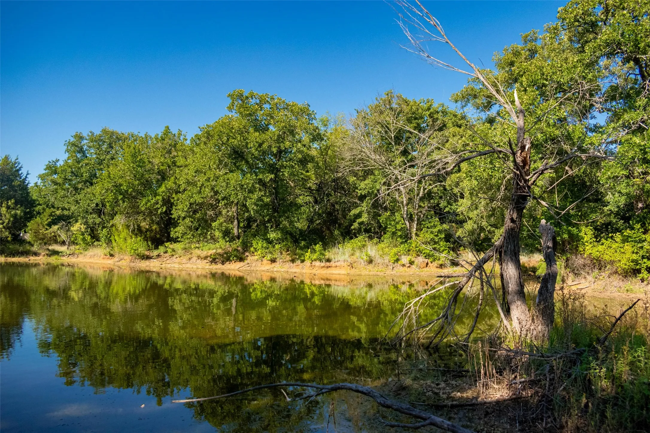 Unimproved Land For Sale in Jack County , TBD Nash Road, Jacksboro, Texas 76458, 0, 0, Garage spaces, 0 Sqft, built in 0, mls#21335252, Real Estate Agent in Jacksboro, Homes For Sale in Jack county, Homes For Sale in Jacksboro, Realtor in Jacksboro Texas, Real Estate Brokerage Independent Realty Texas, Luminita Cordes Realtor