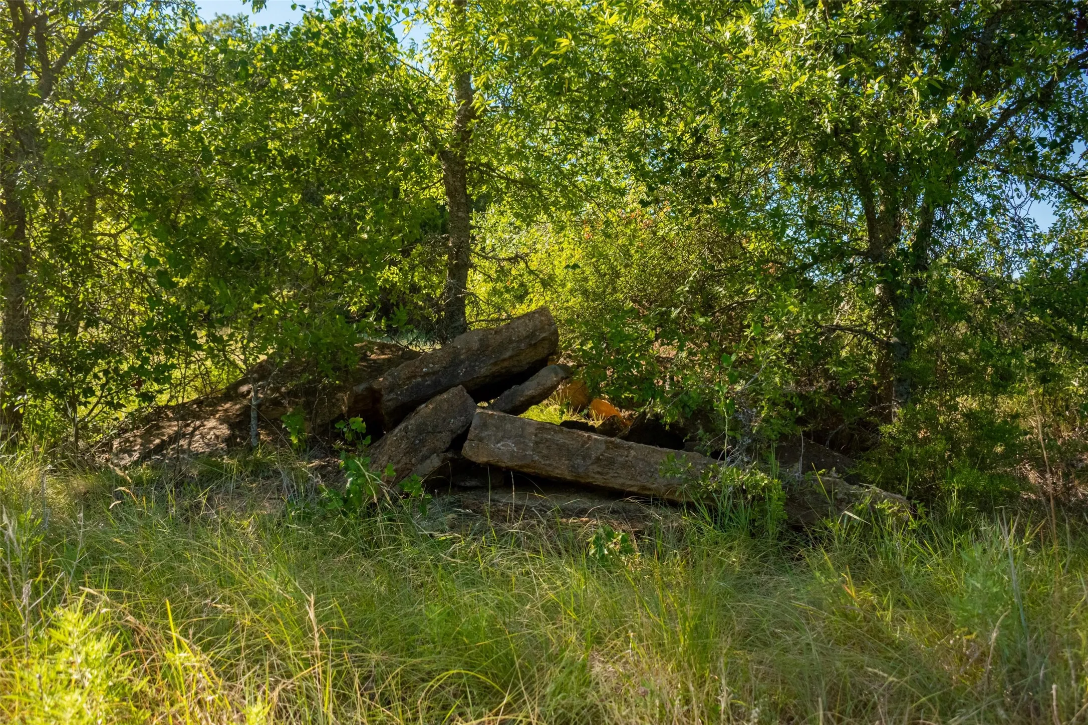 Unimproved Land For Sale in Jack County , TBD Nash Road, Jacksboro, Texas 76458, 0, 0, Garage spaces, 0 Sqft, built in 0, mls#21335252, Real Estate Agent in Jacksboro, Homes For Sale in Jack county, Homes For Sale in Jacksboro, Realtor in Jacksboro Texas, Real Estate Brokerage Independent Realty Texas, Luminita Cordes Realtor